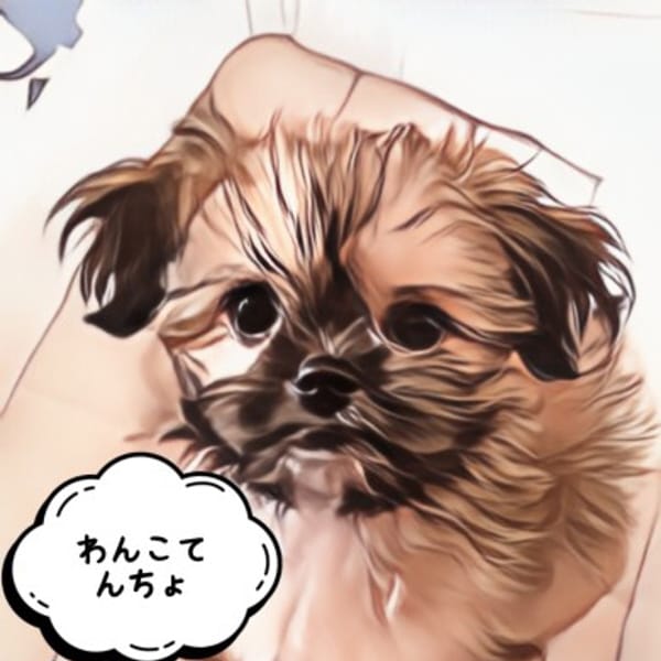 「平日限定☆朝割☆」 | Sweeeetyのお得なニュース