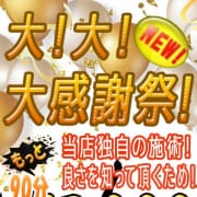 好評!⭐大！大！大感謝祭⭐　|アロマカリス