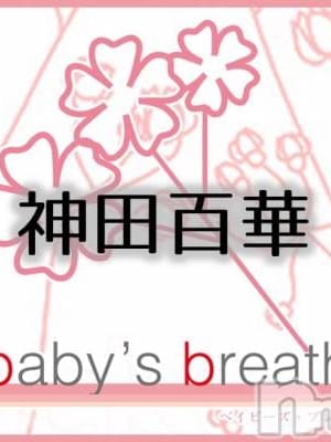 伊藤せな