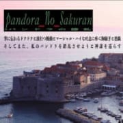 【東京23区に迅速派遣】|パンドラの錯乱