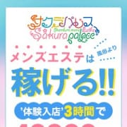 セラピストさん大募集！！高待遇|Sakura Palace(サクラパレス)