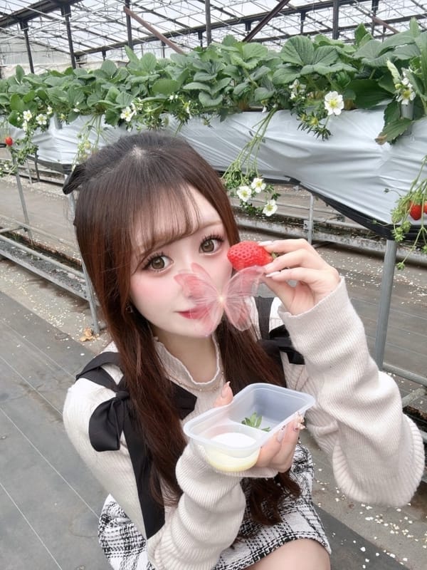 よつは