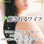 ✨✨✨ご新規様限定です✨✨✨|癒されるワイフ