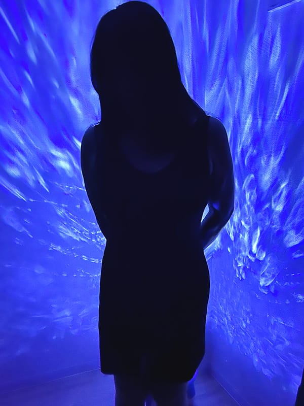 佐々木(ささき)