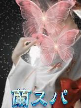 あんなちゃん|蘭スパでおすすめの女の子