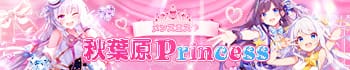 メンズエステ秋葉原Princess