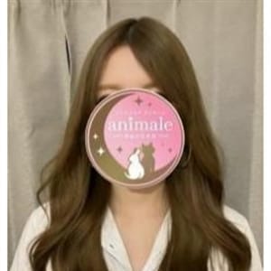 うらら|animale（アニマーレ）
