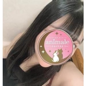 いちは|animale（アニマーレ）