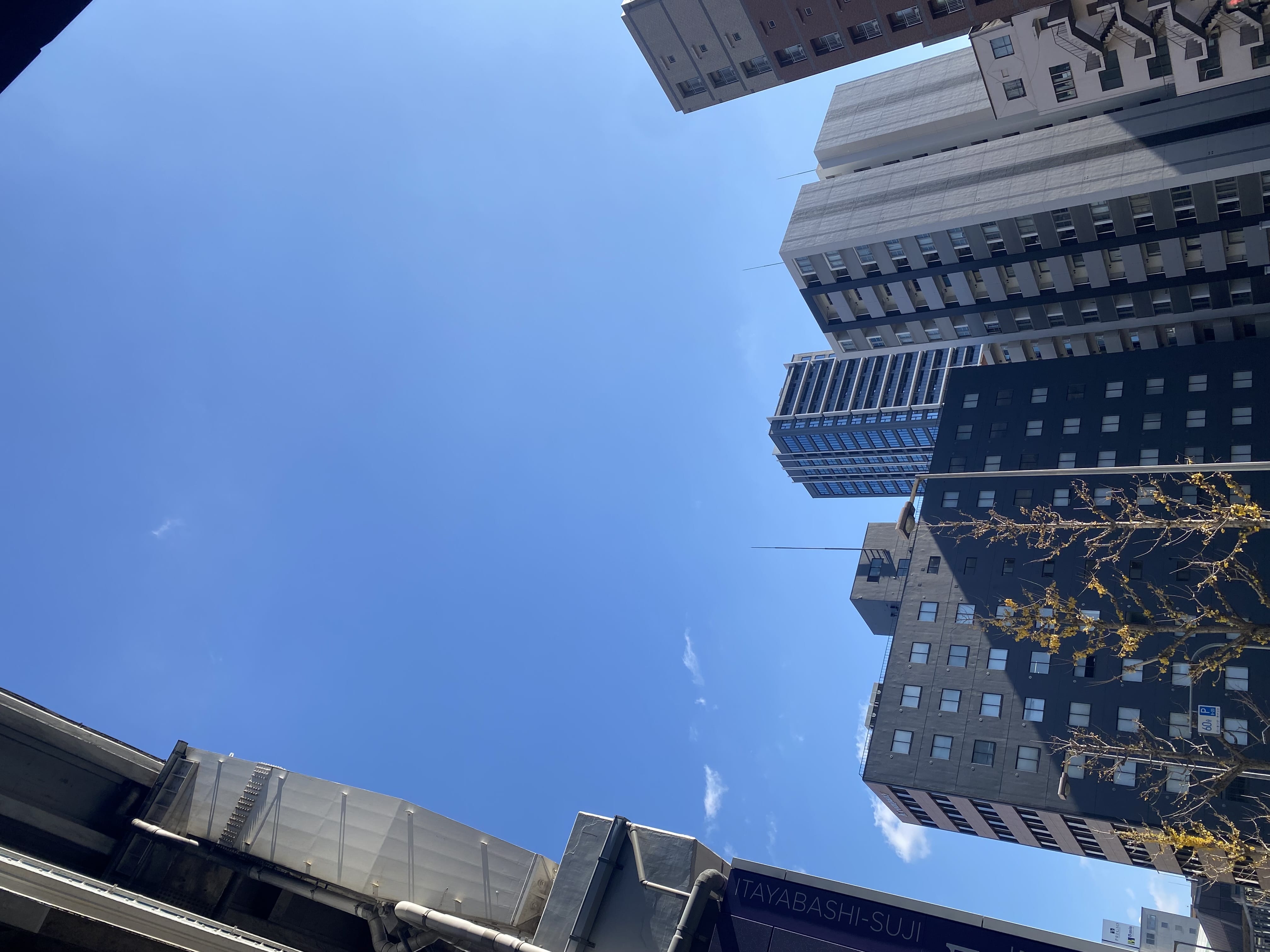 はるな「2024年ありがとうございました！」12/29(日) 21:58 | はるなの写メ