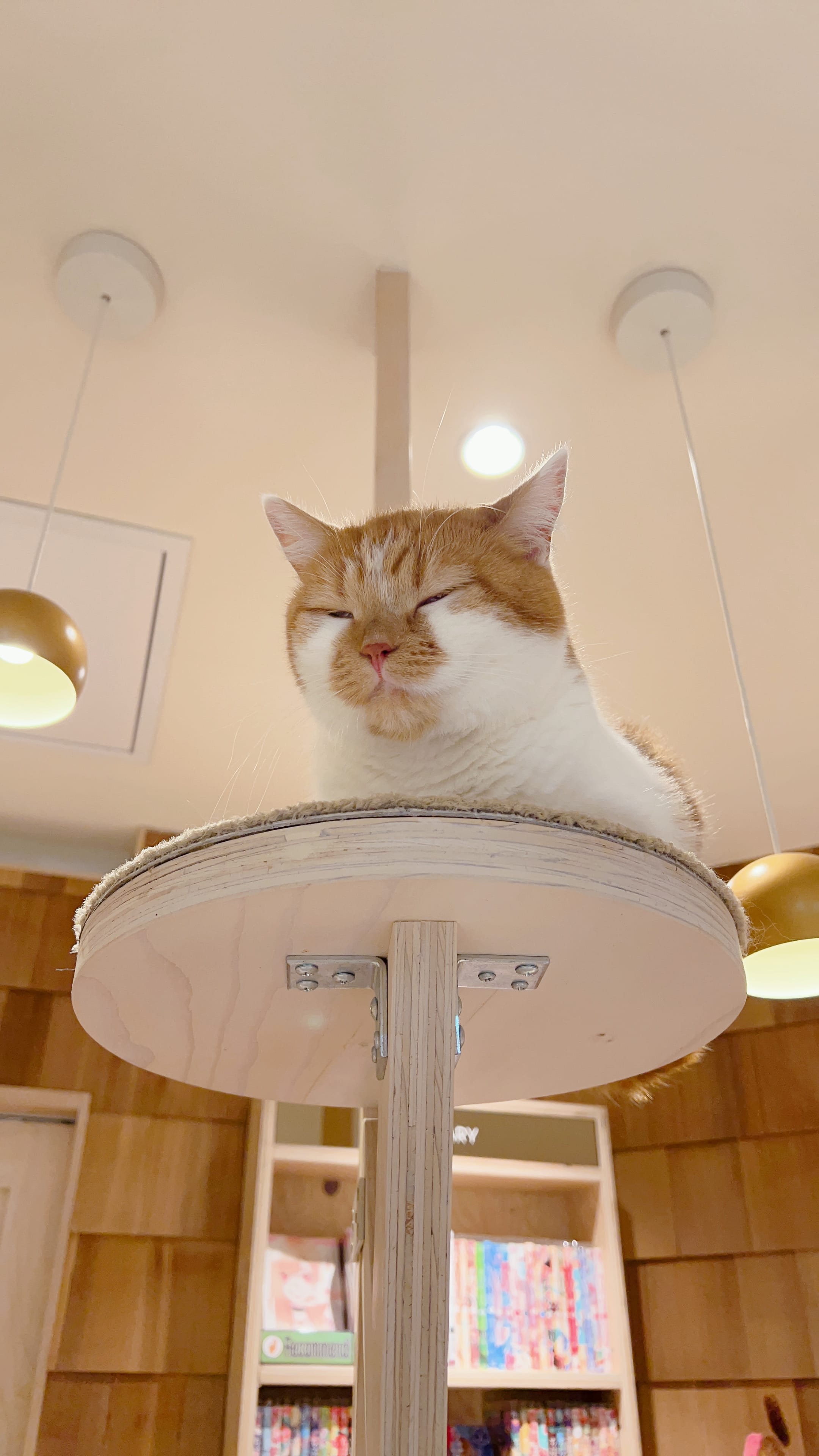 ありさ「今週の出勤予定♪」02/12(水) 17:46 | ありさの写メ