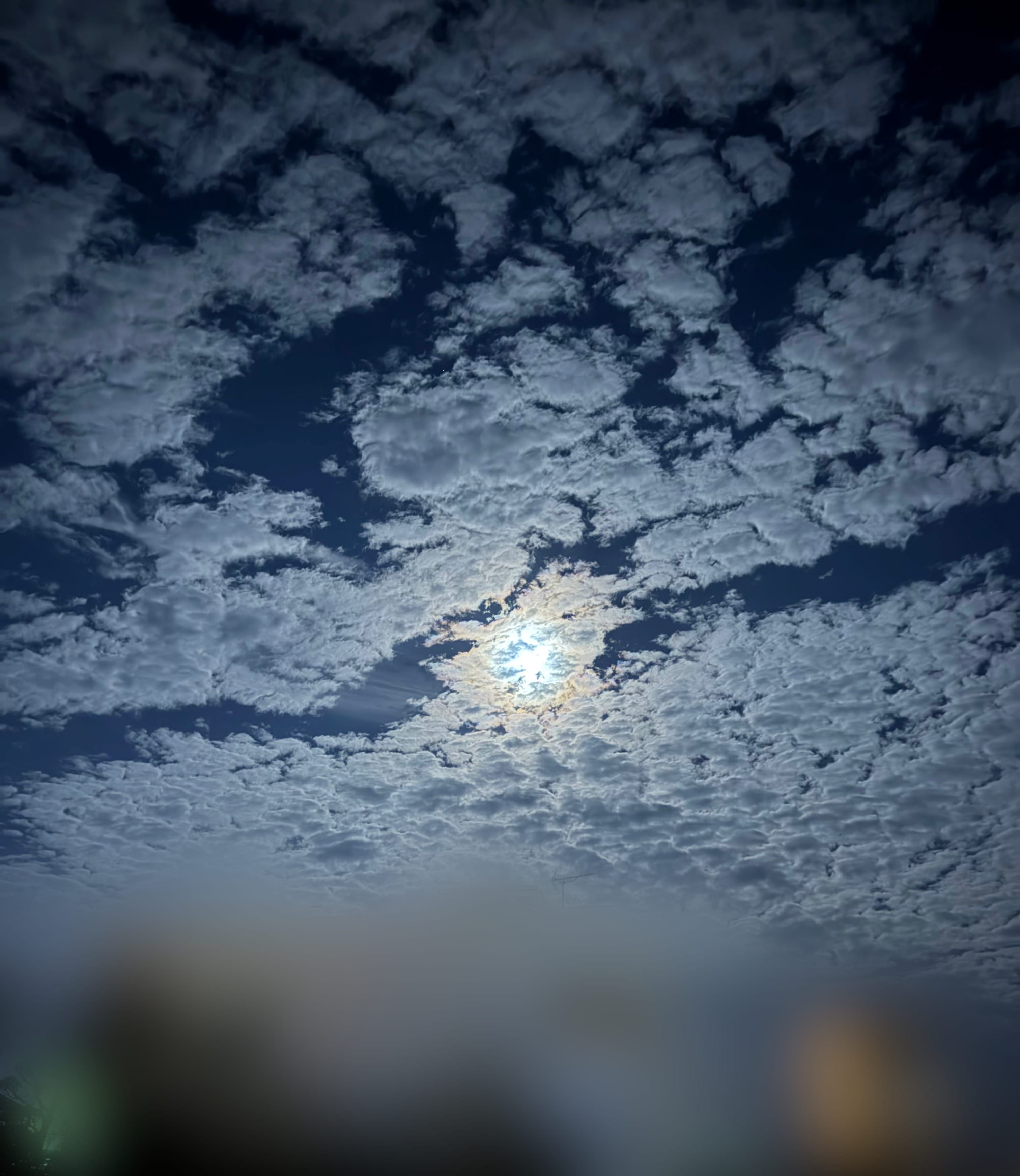 ありさ「こんにちは」02/14(金) 13:27 | ありさの写メ