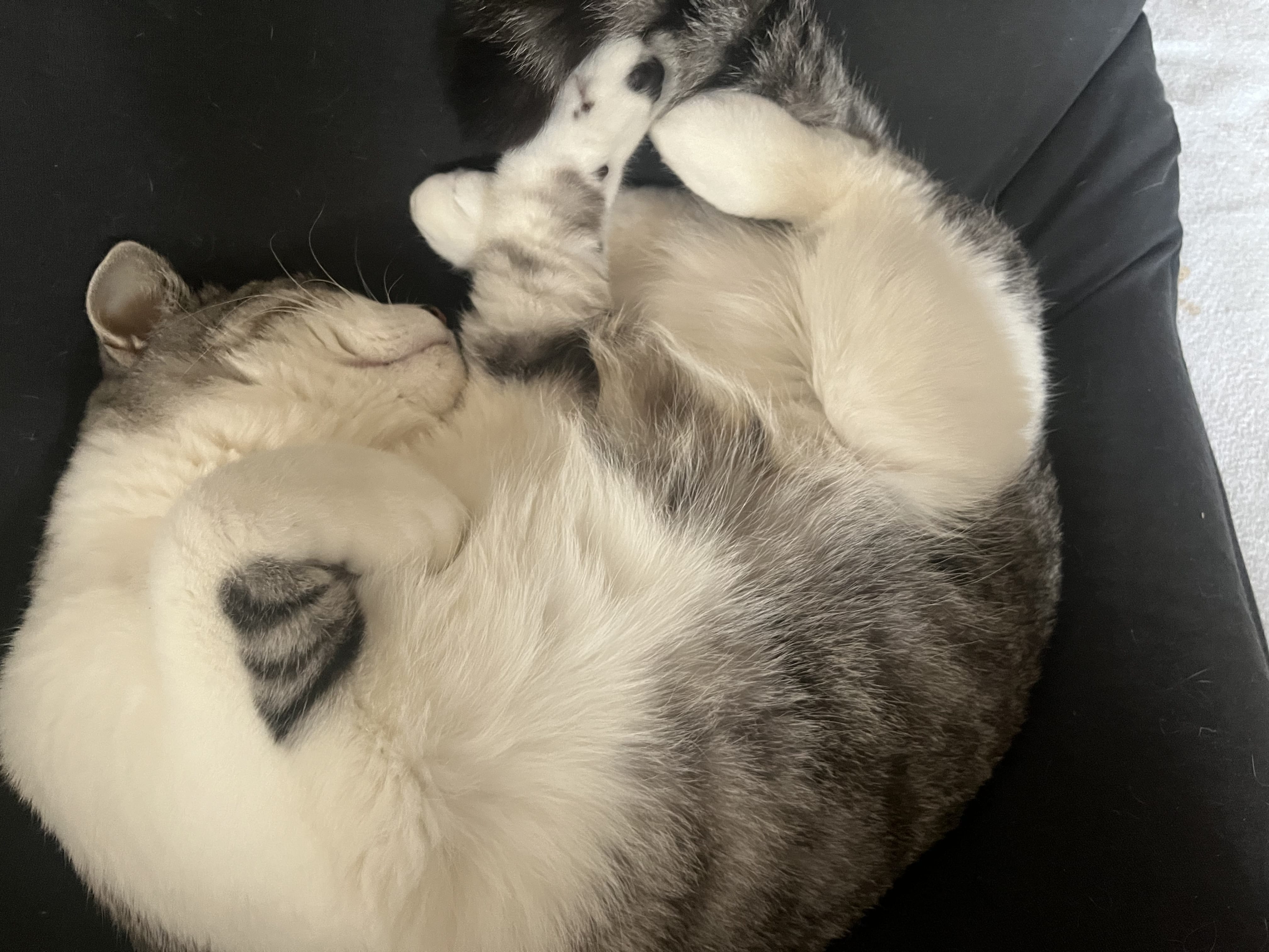 「今週の出勤予定♪」03/12(水) 00:18 | 海羽 なみの写メ