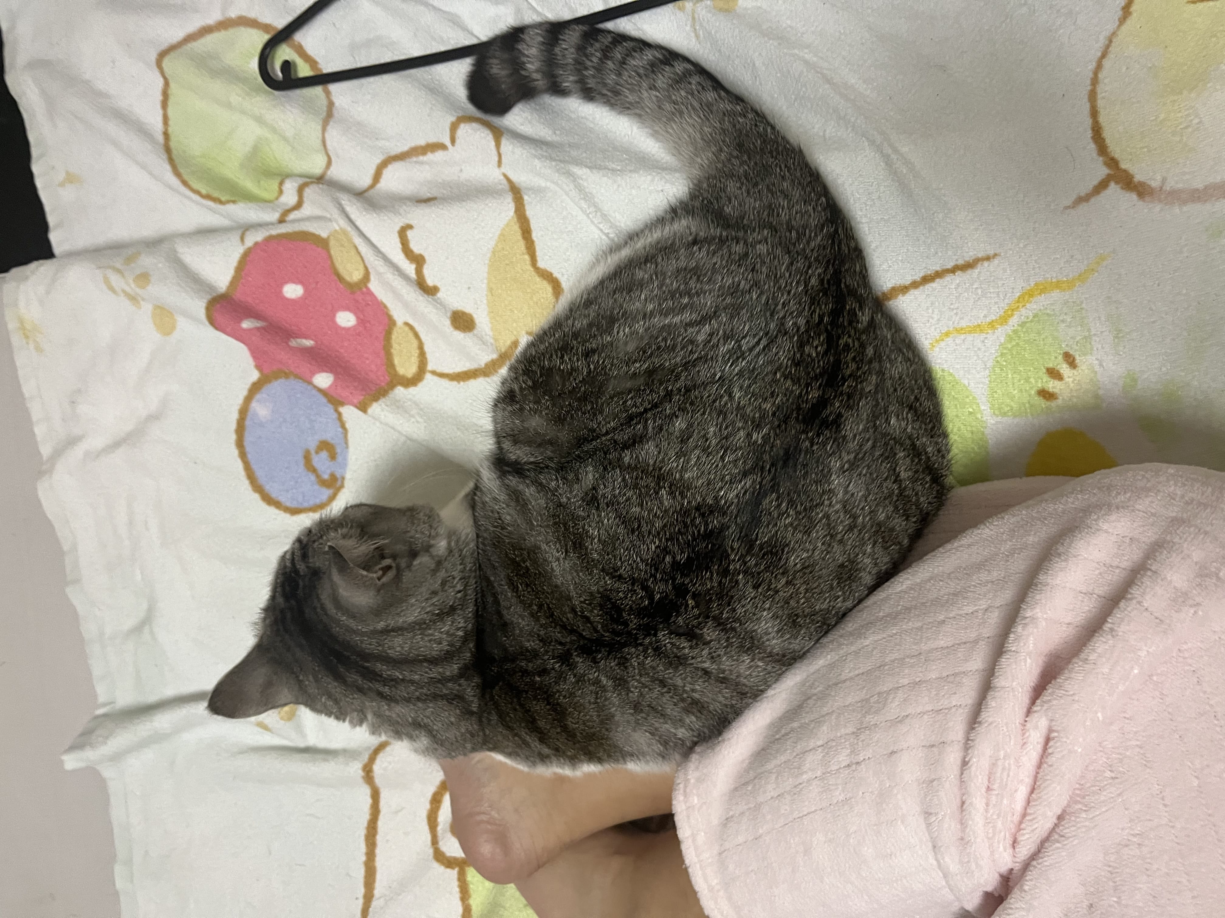 「花粉症」03/24(月) 12:16 | 海羽 なみの写メ