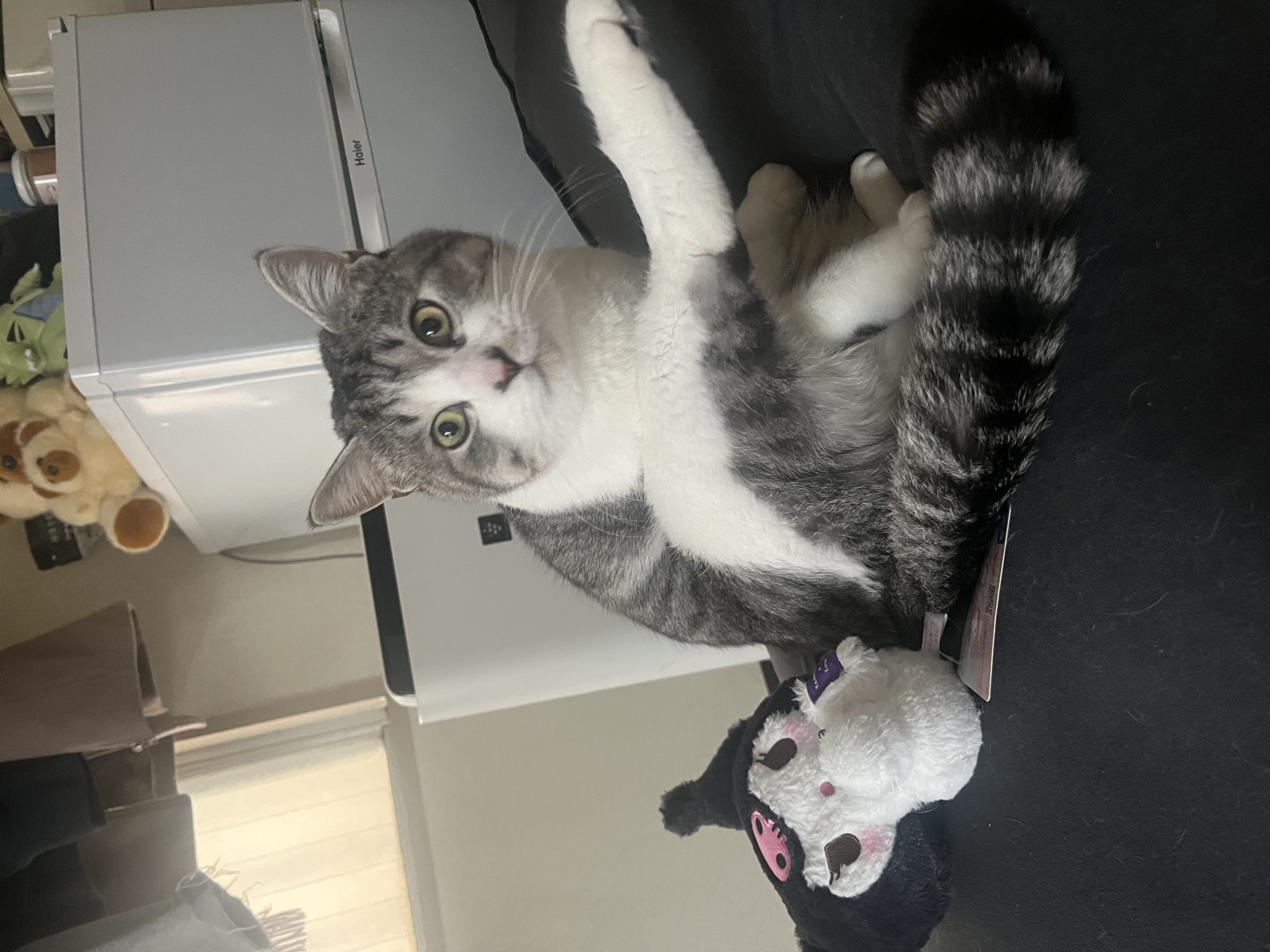 「今週の出勤予定♪」04/03(木) 01:10 | 海羽 なみの写メ