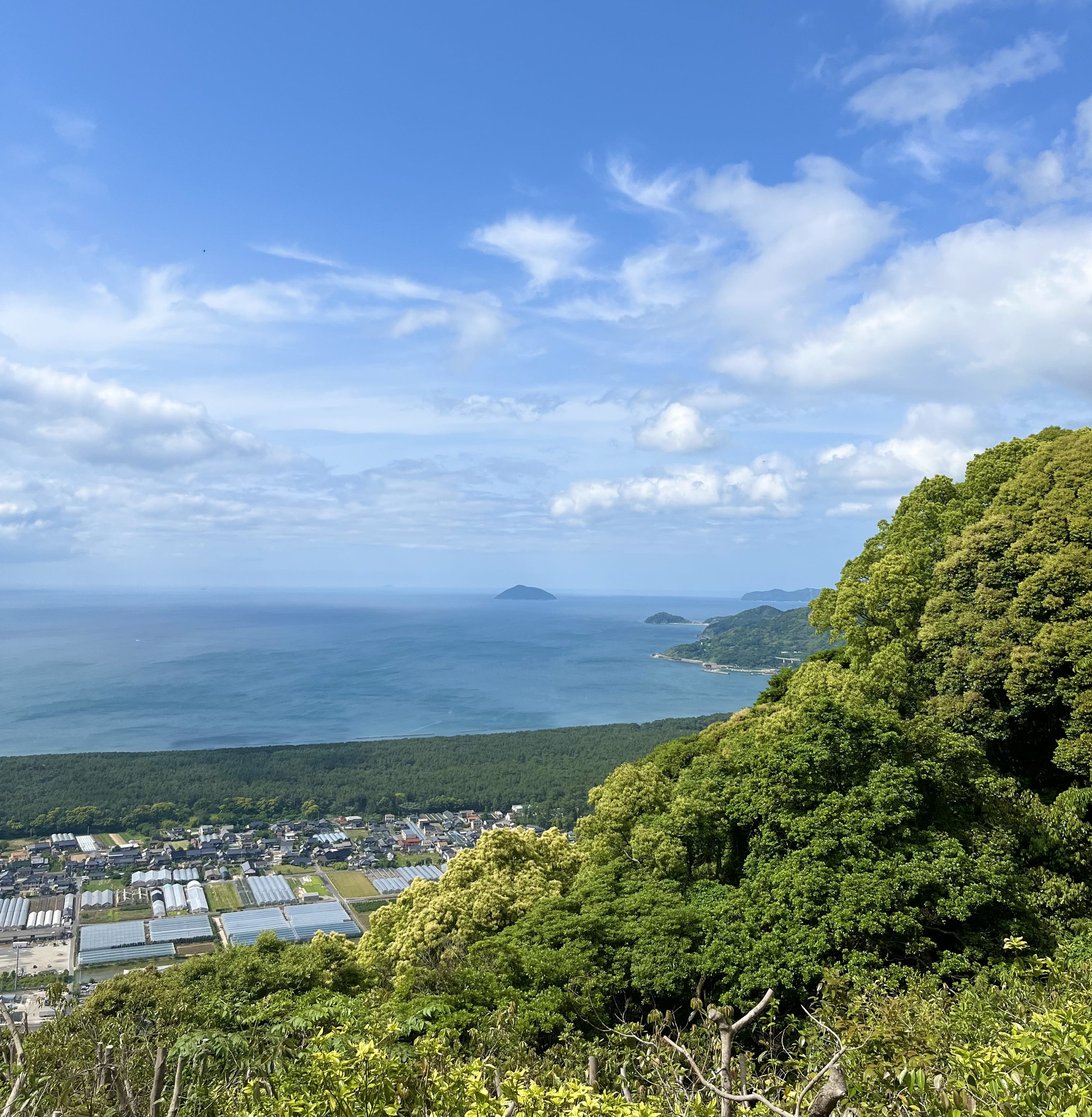 「お蝉もこんにちは」07/14(月) 22:05 | 一ノ瀬 みさき★HIGH CLASSの写メ