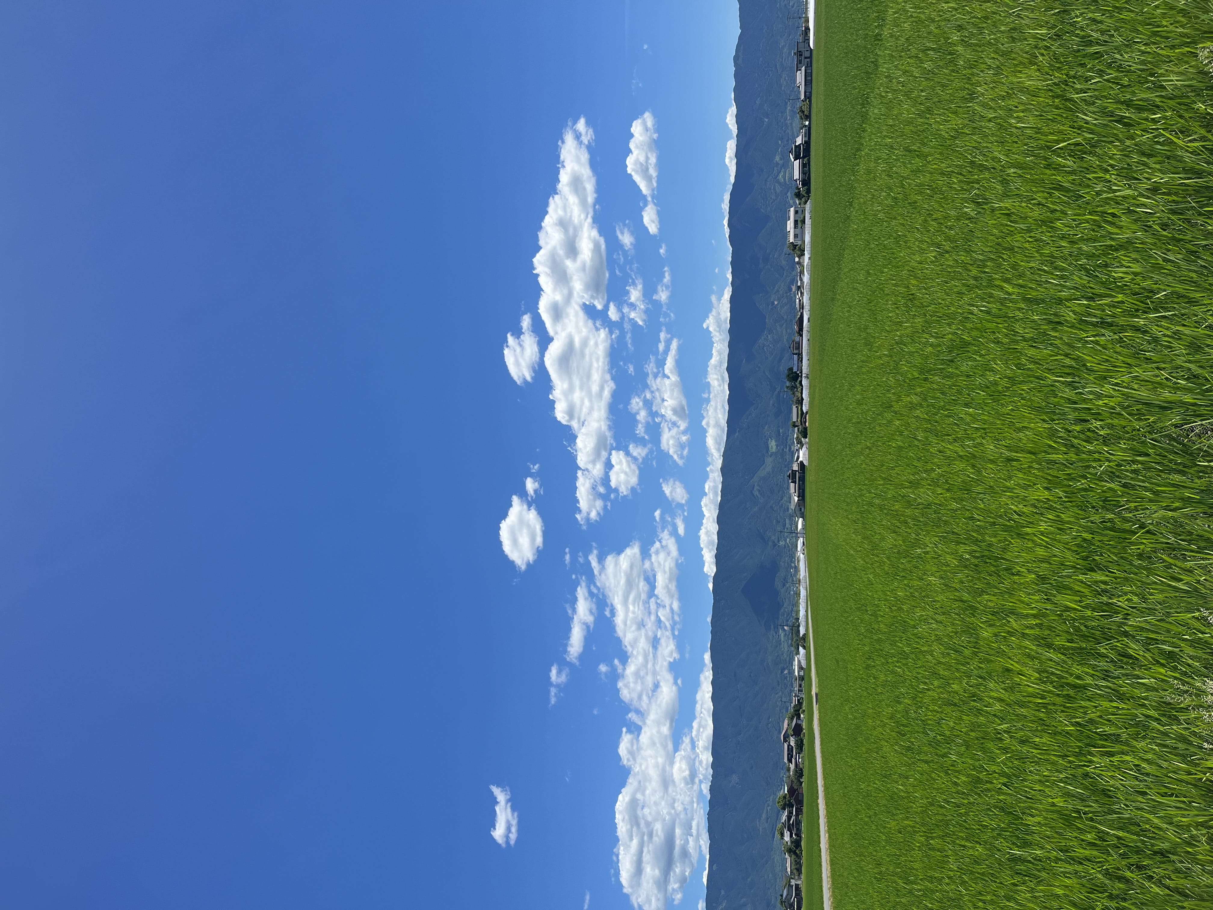 「プチリフレッシュ」08/31(日) 20:52 | 一ノ瀬 みさき★HIGH CLASSの写メ