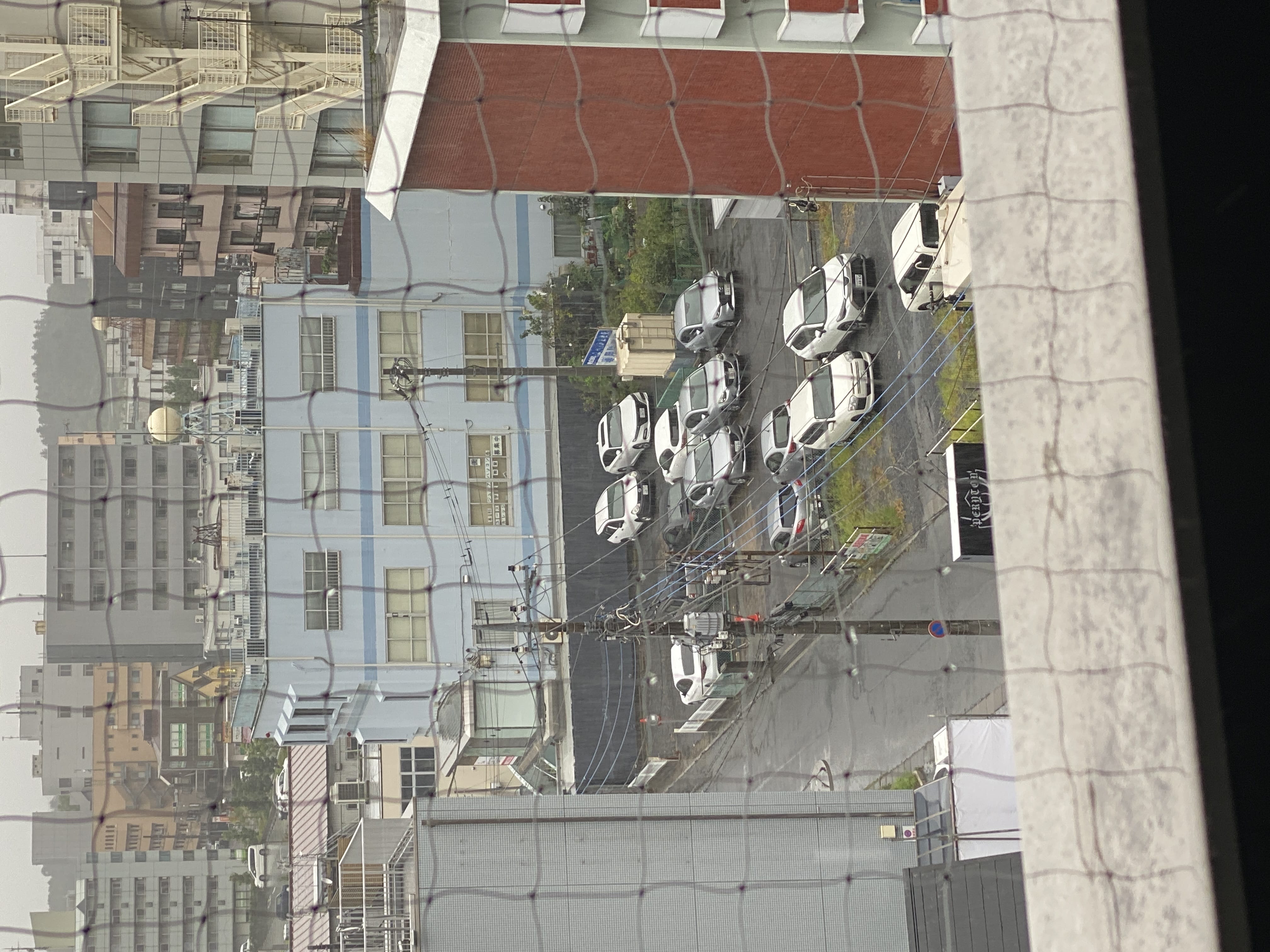 「☔️」09/05(金) 14:53 | 藤井（ふじい）の写メ