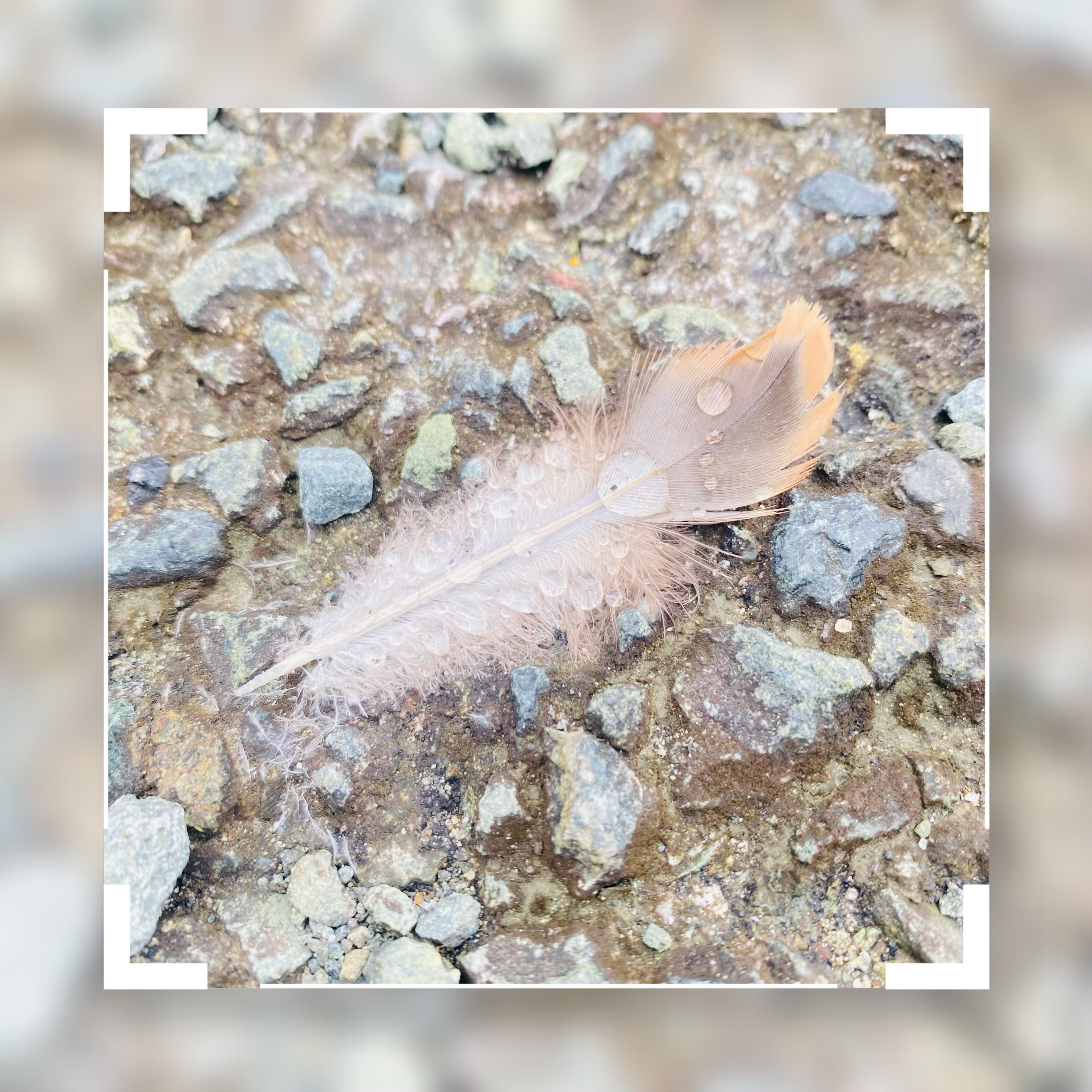 「小さい幸せ♥」10/14(火) 09:54 | みれいの写メ