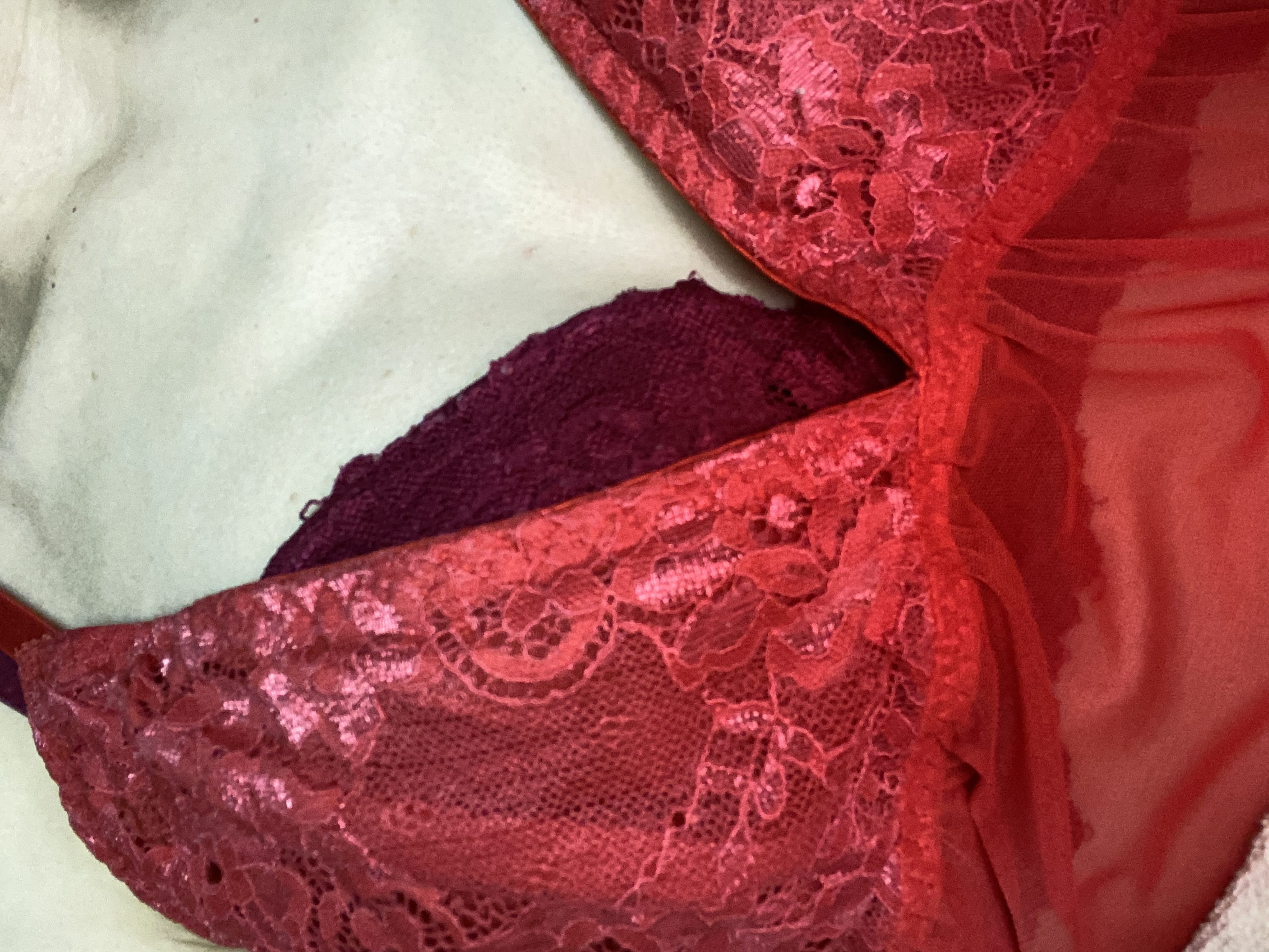 「こんにちは」11/03(月) 16:38 | 藤井（ふじい）の写メ