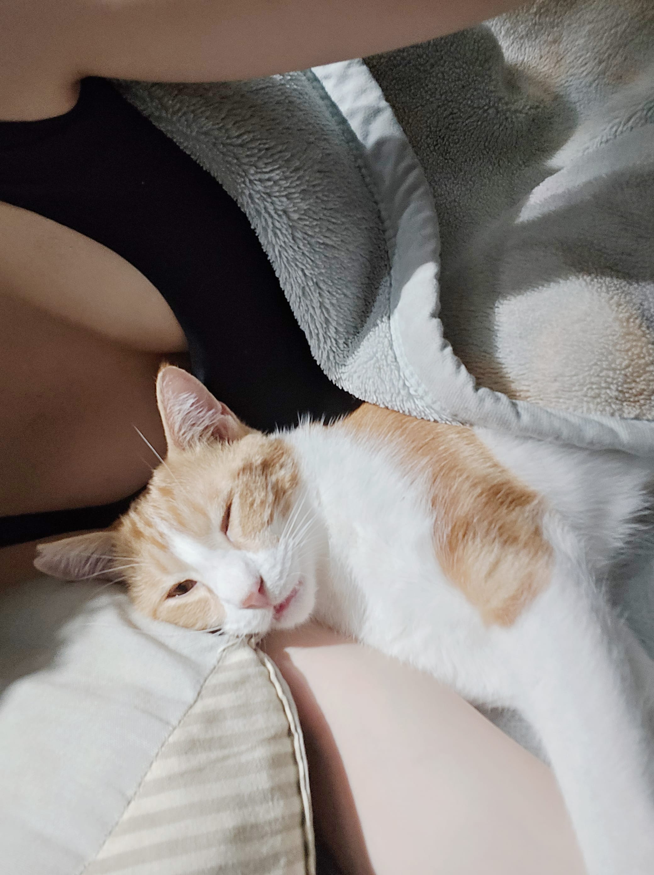 「幸せを独り占めして仕事の疲れを癒してね☘️」11/06(木) 11:36 | あいの写メ