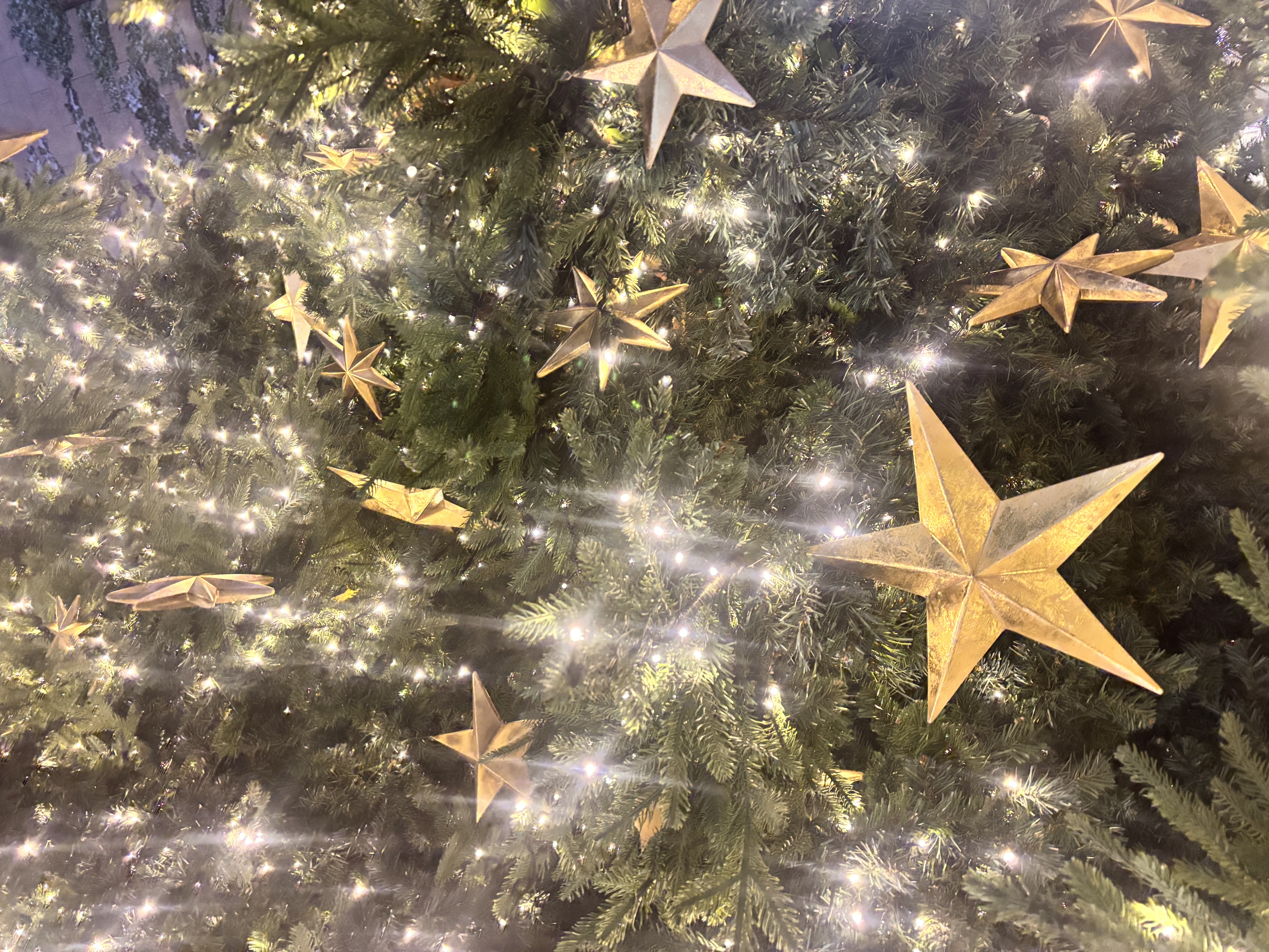 「初投稿（* ॑  ॑* ）ﾄﾞｷﾄﾞｷ  出勤中です！」11/23(日) 15:46 | ゆきの写メ