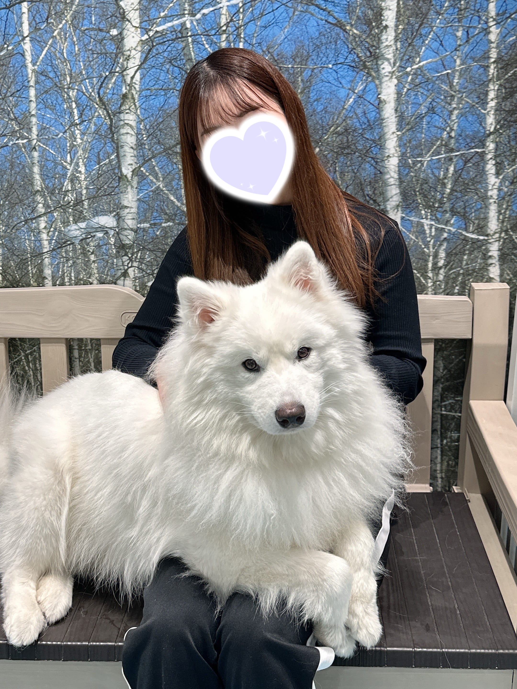 「もふもふᐡ-ﻌ•ᐡ」11/23(日) 19:45 | ほのかの写メ