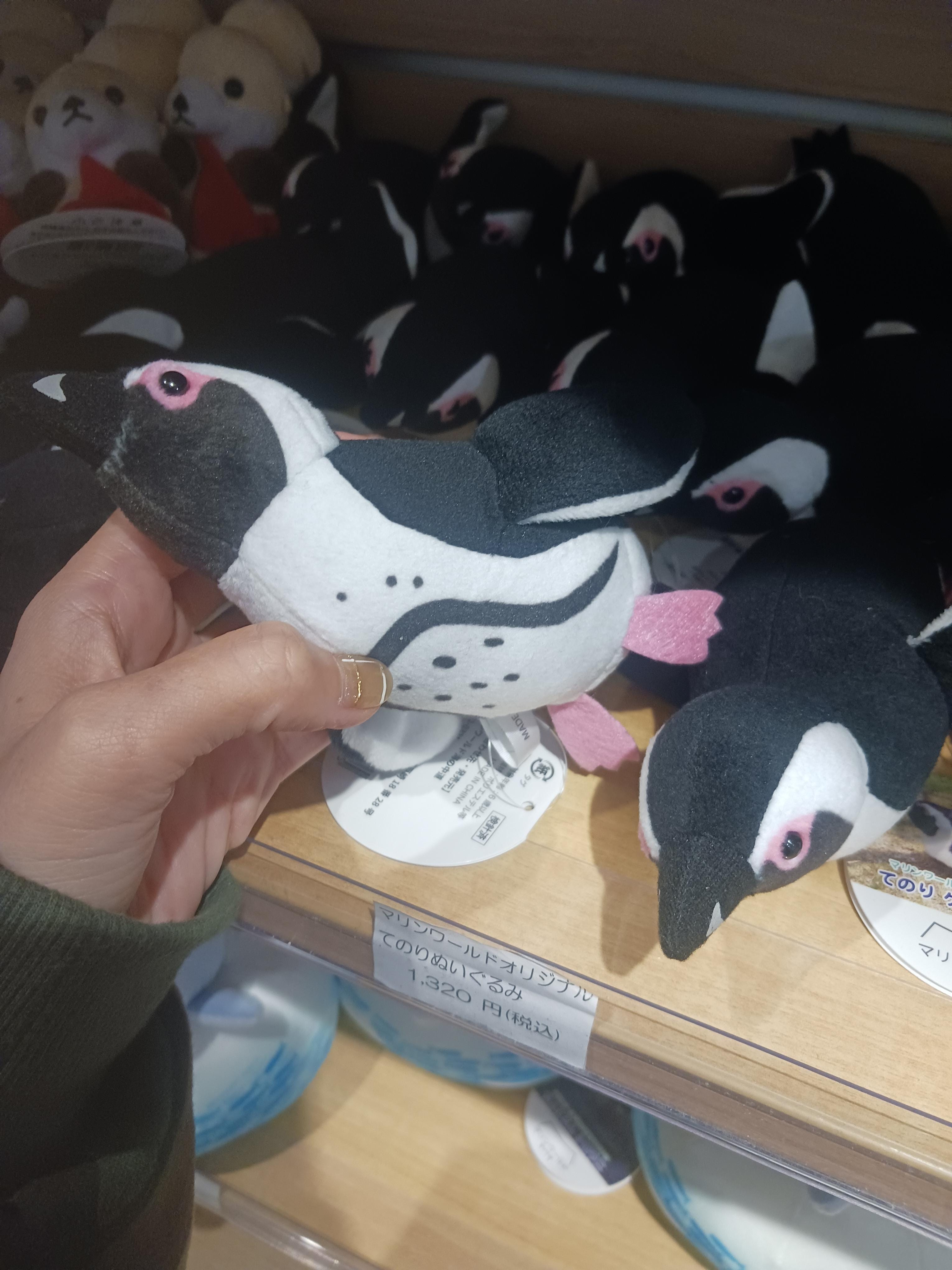 真紀【まき】「こんにちは☀」11/28(金) 11:18 | 真紀【まき】の写メ