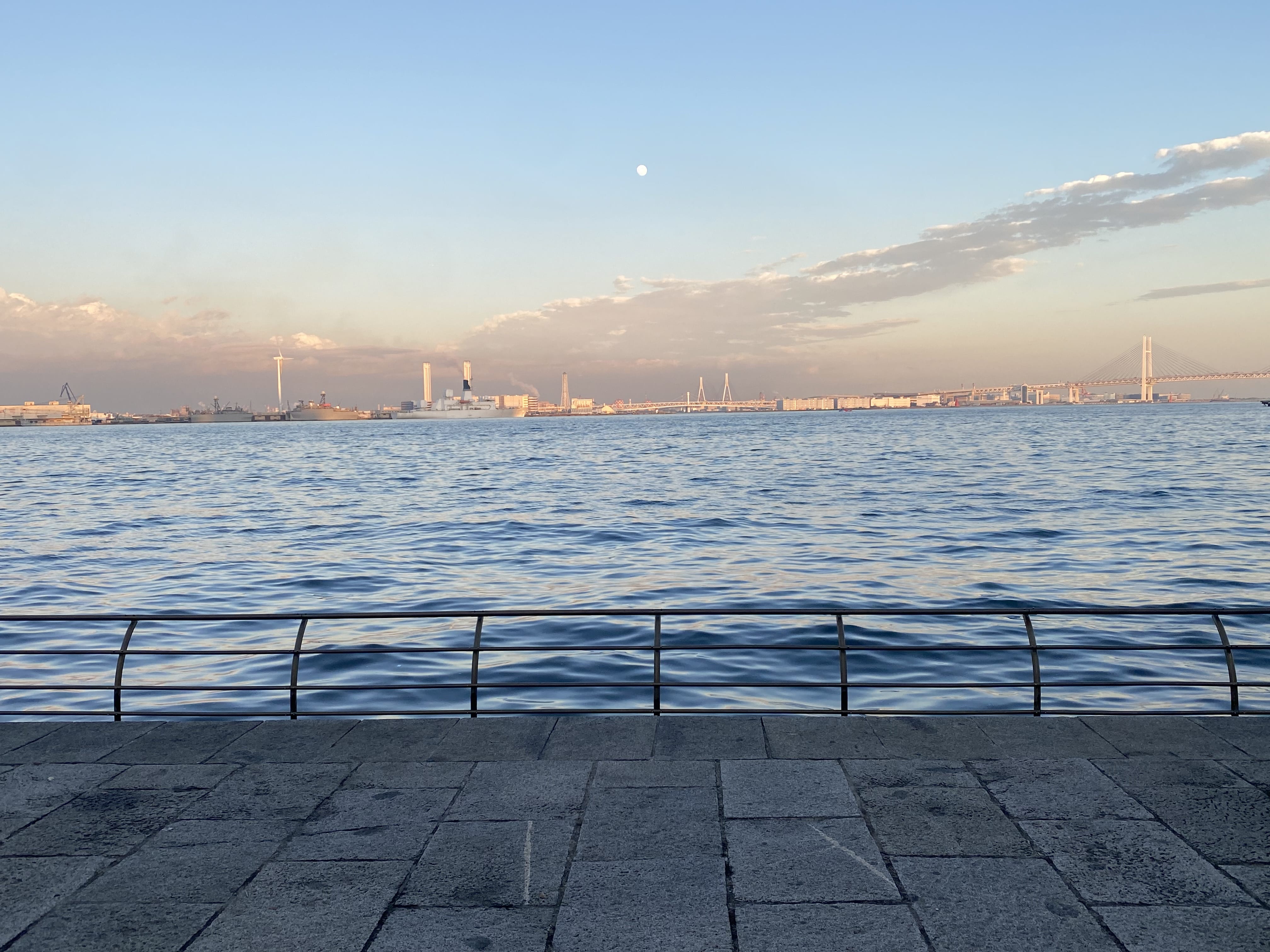 「今週の出勤予定♪」12/01(月) 13:08 | みやびの写メ