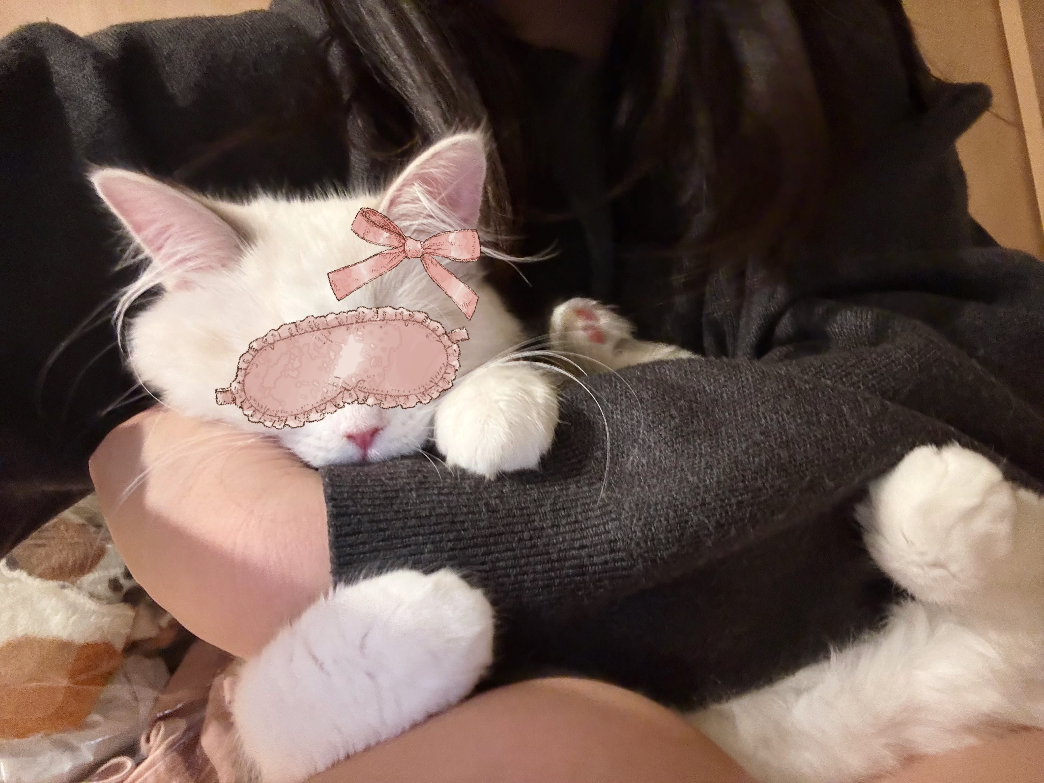 「拝啓Mさま。。。」12/04(木) 20:07 | 加純 実果★HIGH CLASSの写メ