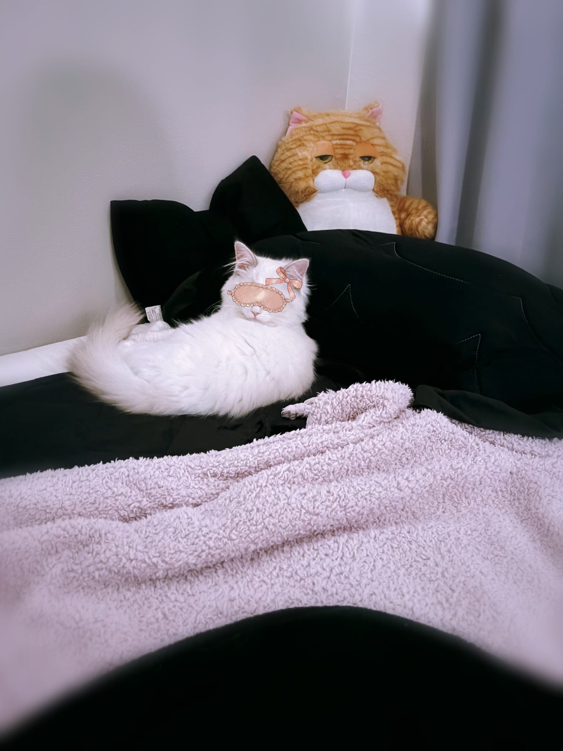 「(-_-)zzz」12/05(金) 17:04 | 加純 実果★HIGH CLASSの写メ