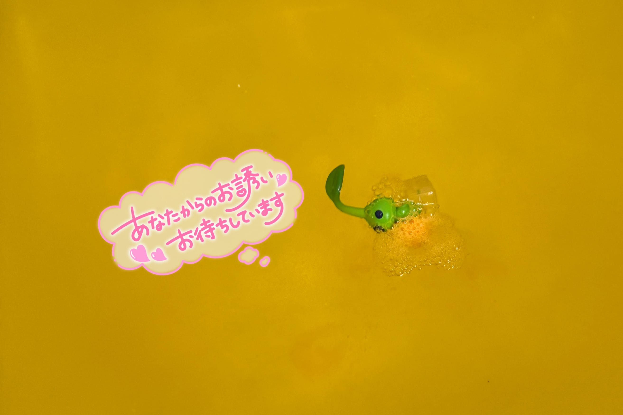 「復活したぞ！！」12/05(金) 18:07 | うみ-UMI-の写メ日記