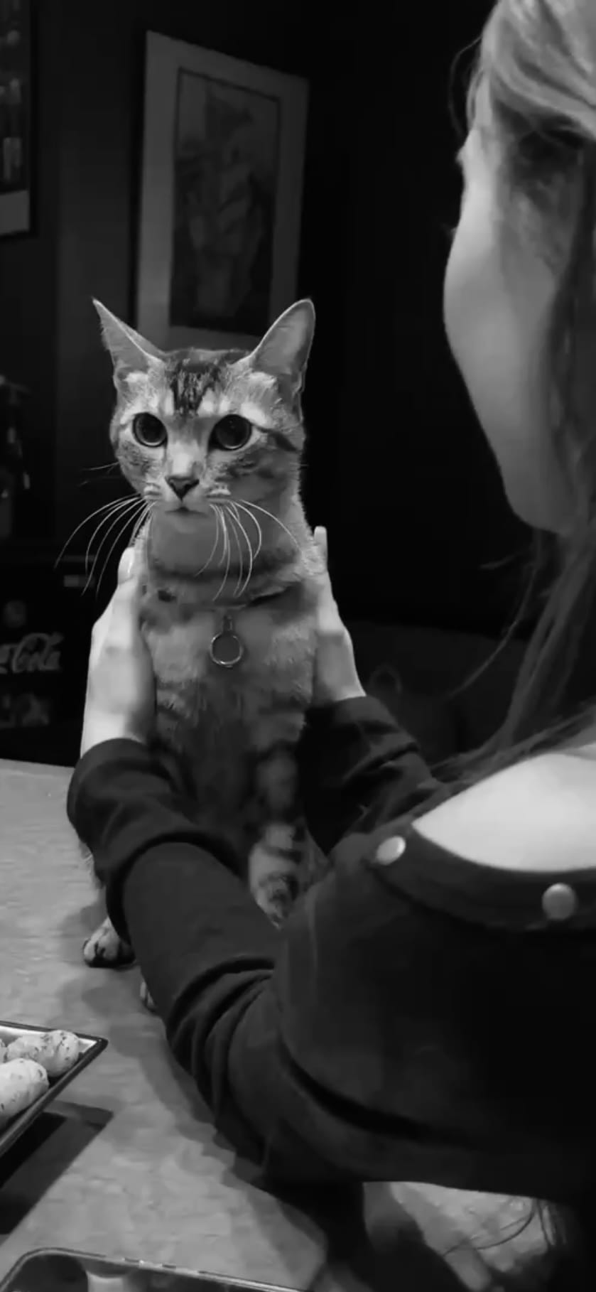 「ฅ( ̳• ·̫ • ̳ฅ)ﾆｬﾝ」12/09(火) 15:25 | 美波‐MINAMIの写メ日記