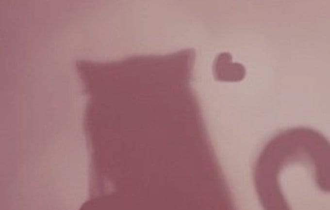 「次回20日㈯ 12:00-21:00」12/17(水) 13:48 | 佐々木　美月の写メ