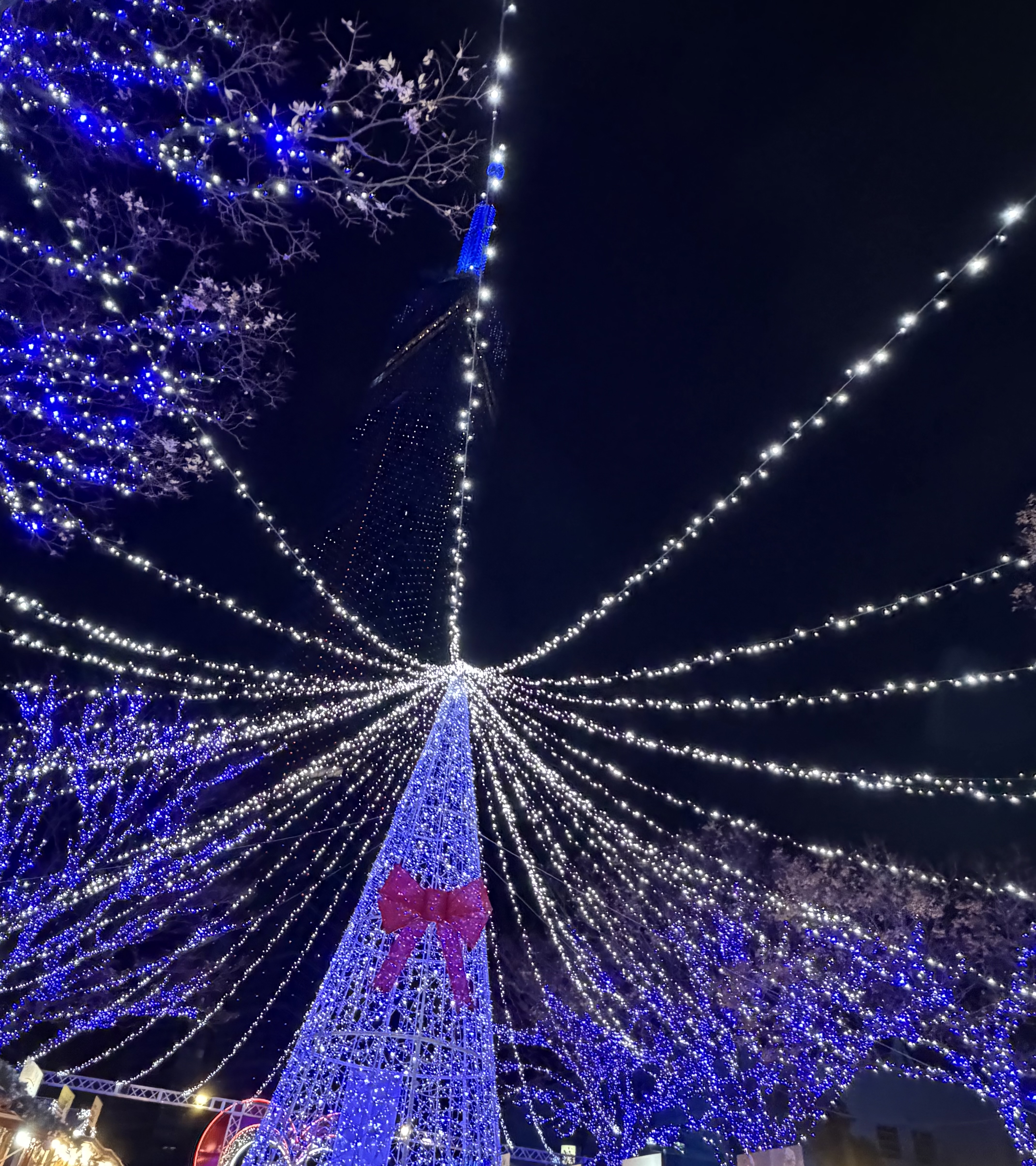 「クリスマスも出勤予定です」12/19(金) 18:46 | 桜庭 きら★HIGH CLASSの写メ