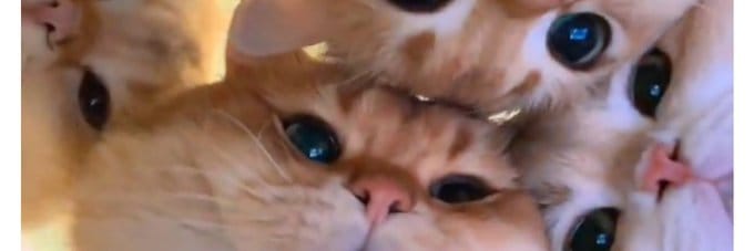 「次回出勤予定⭐」12/21(日) 11:31 | 佐々木　美月の写メ