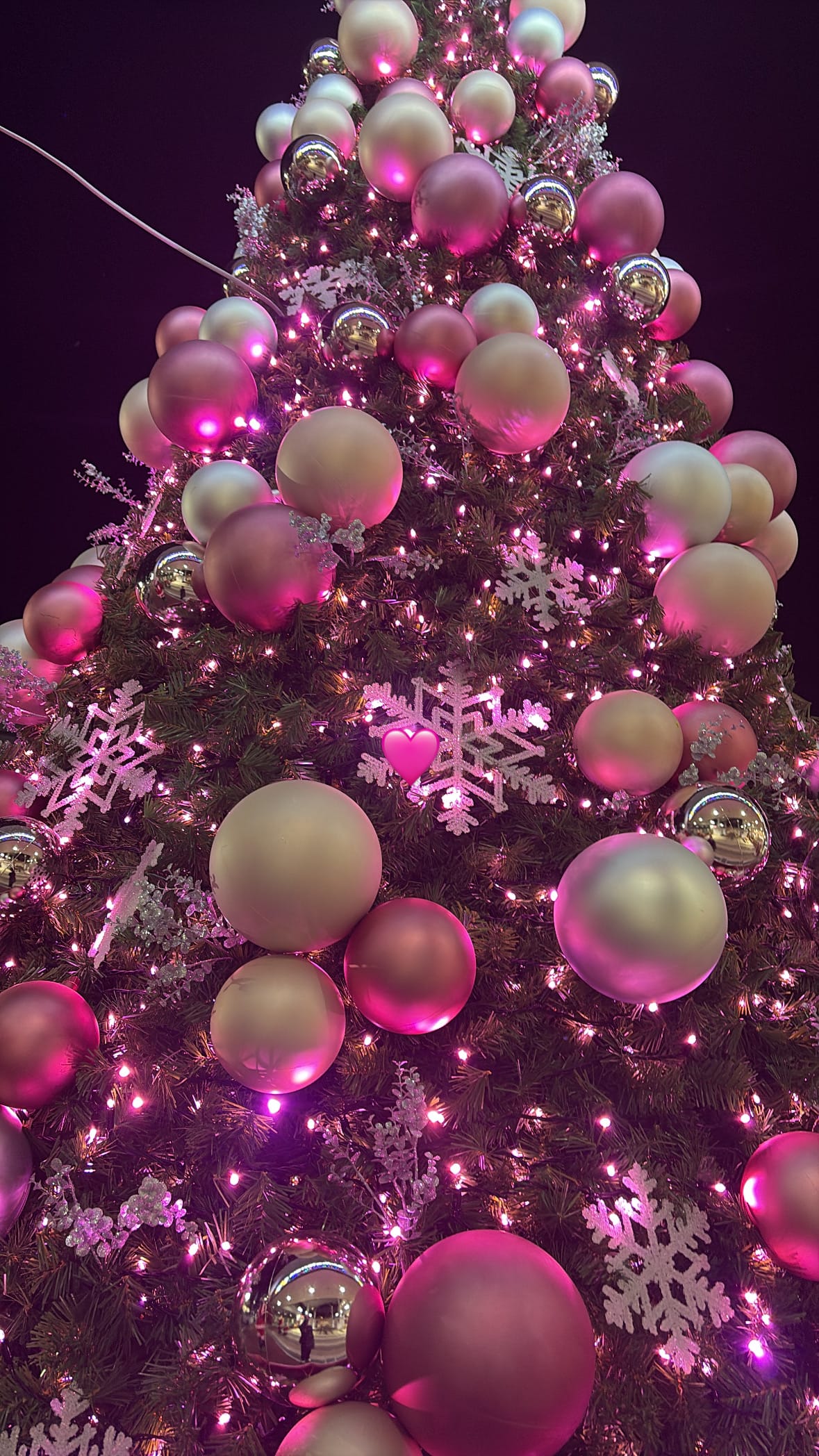 「出勤しました^ ^」12/24(水) 11:52 | ももはの写メ