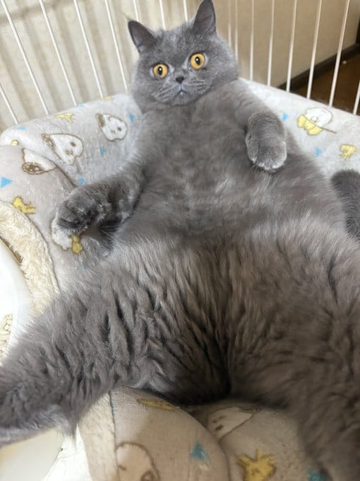 「今日はお休みです」01/06(火) 16:11 | 大島　るりの写メ