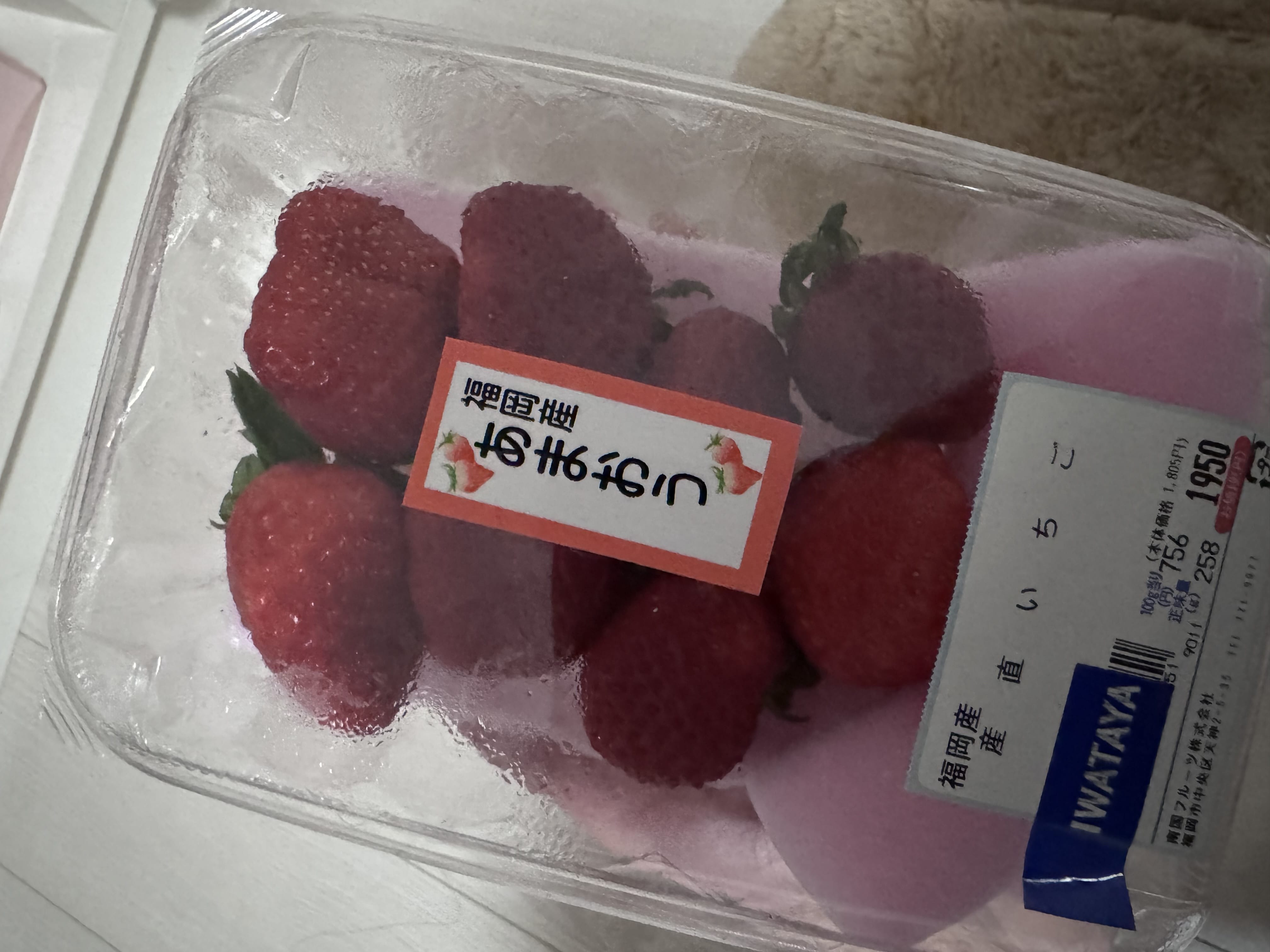 さら「苺ありがとうっ♡」01/09(金) 12:35 | さらの写メ