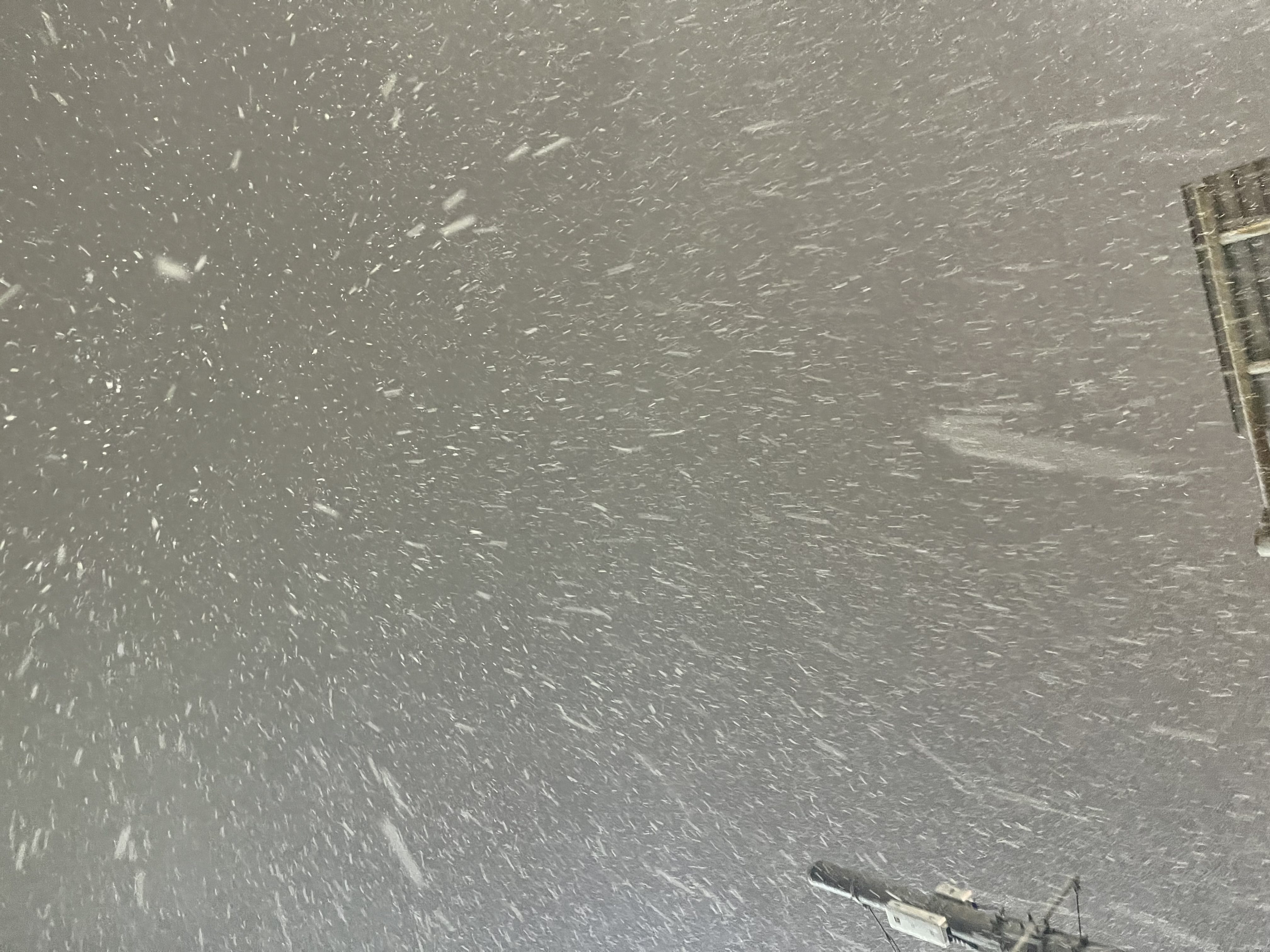 「出勤しました☃️雪すごいです‼︎」01/12(月) 01:09 | 花川 るりの写メ