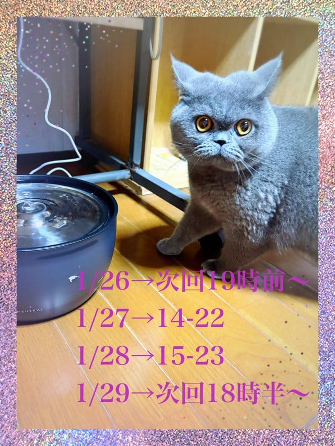 「るりです⭐」01/25(日) 20:57 | 大島　るりの写メ