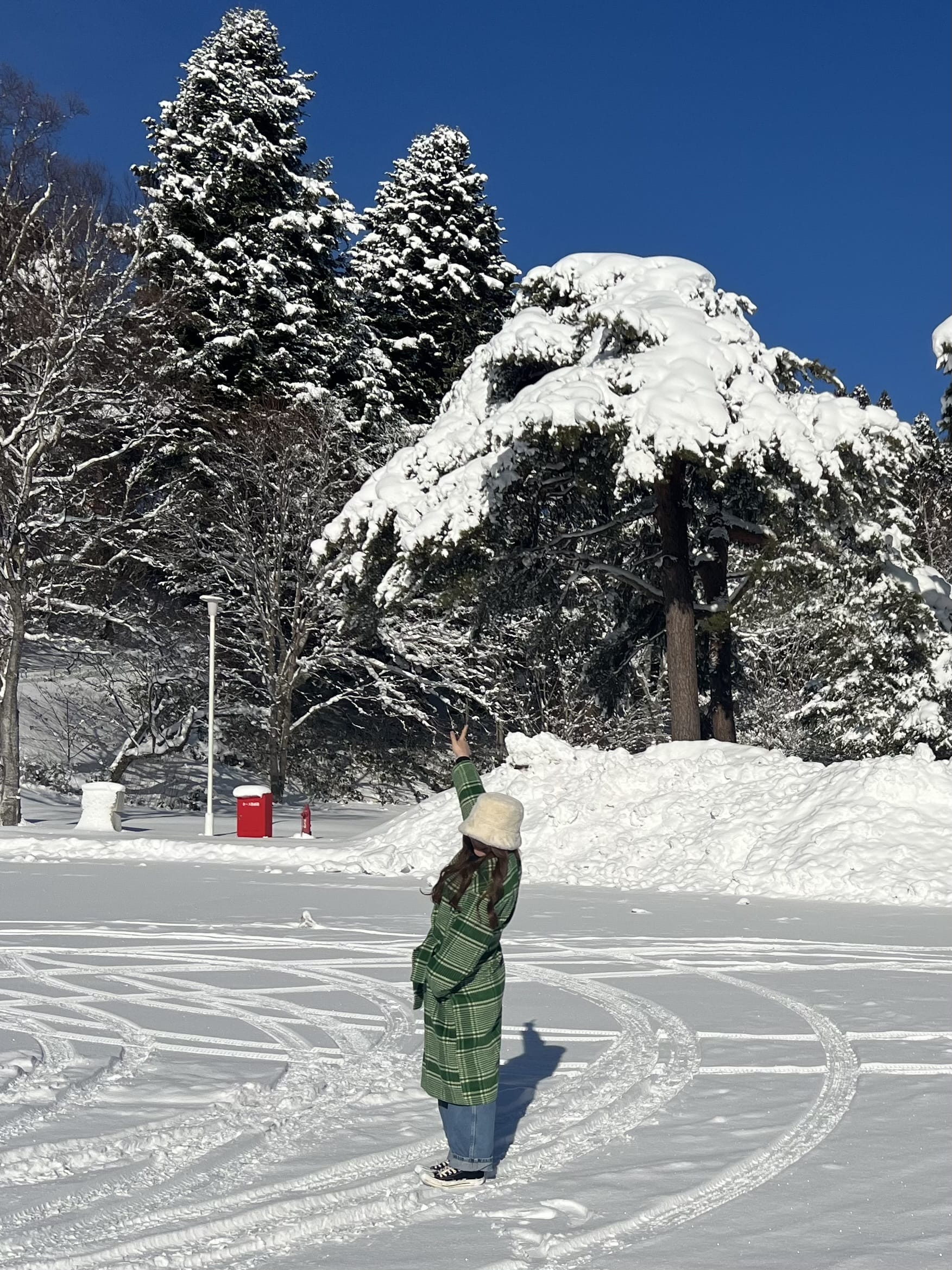 「ゆき」02/01(日) 12:15 | 立花　ほのの写メ