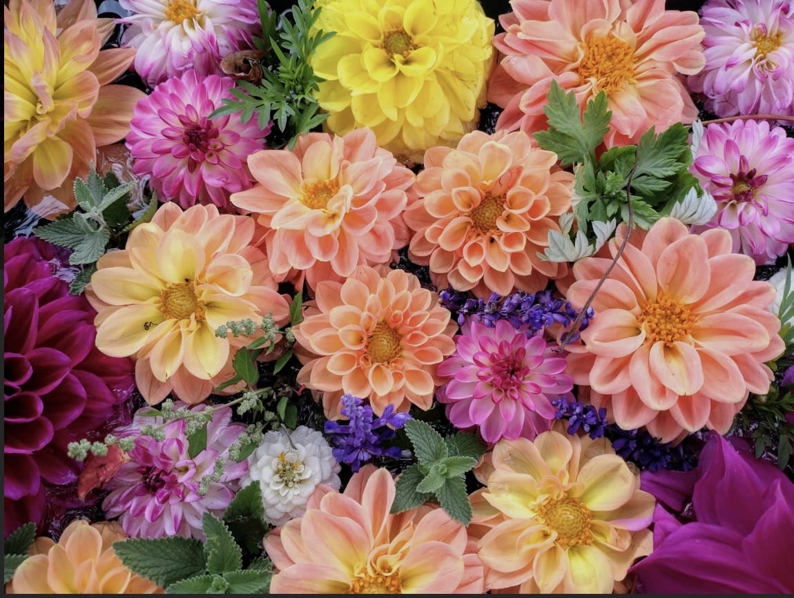 「出勤しました♪」02/01(日) 15:18 | はなの写メ