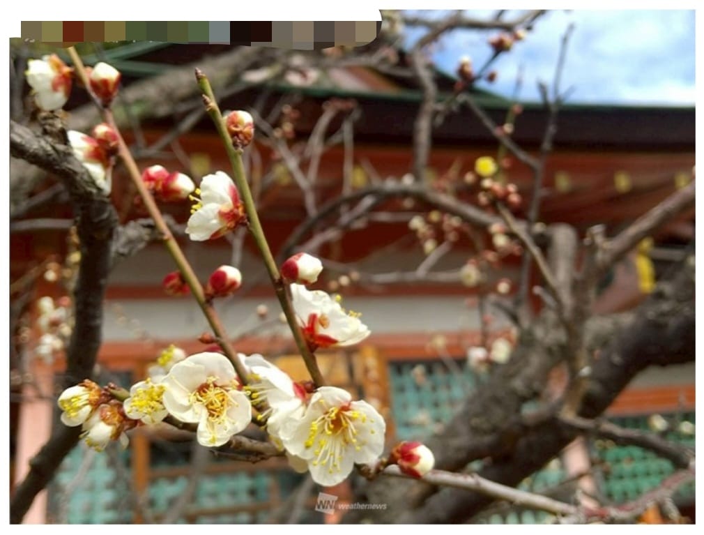 香川なるみ「今日から立春」02/04(水) 13:36 | 香川なるみの写メ