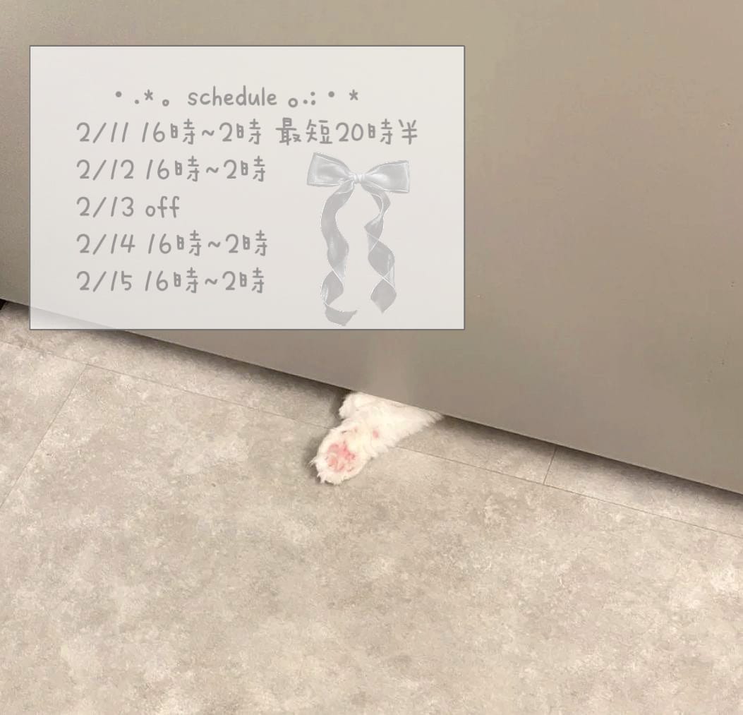 「出勤予定･:*+」02/11(水) 06:22 | 加純 実果★HIGH CLASSの写メ