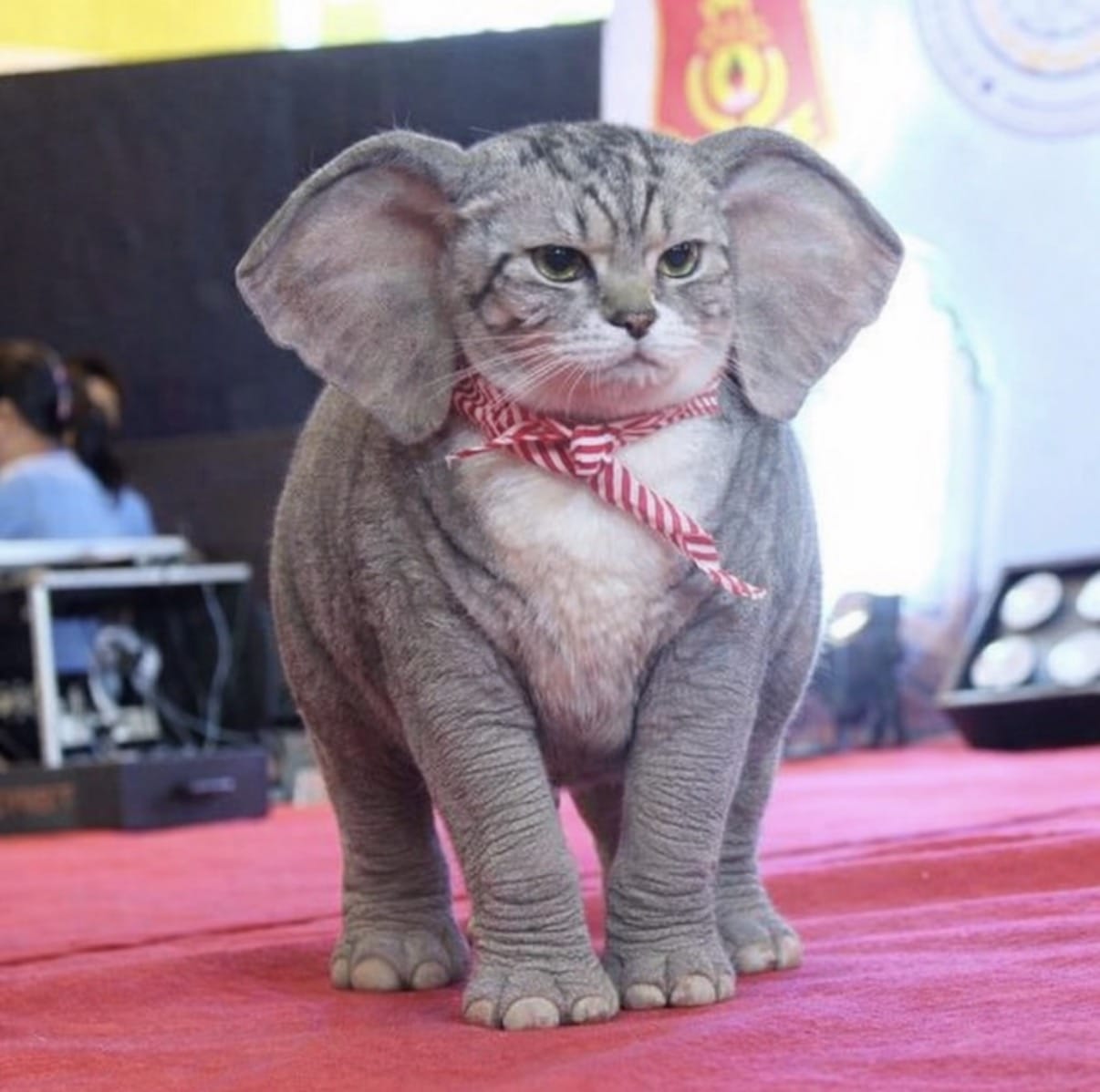 「[お題]」02/14(土) 12:15 | 海羽 なみの写メ