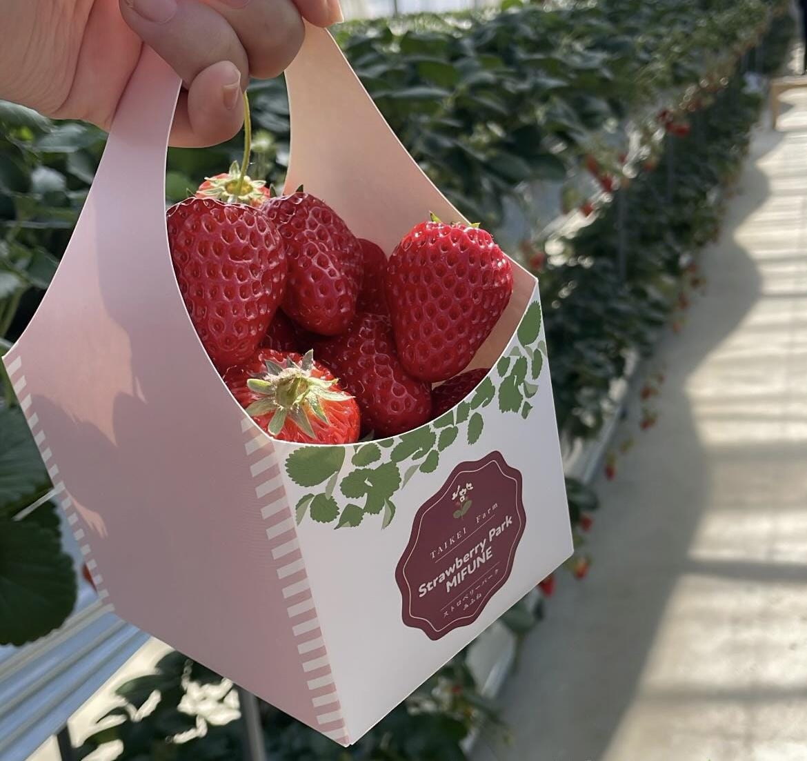 Kasumi（かすみ）「2/20♡11:00〜16:00」02/20(金) 09:16 | Kasumi（かすみ）の写メ