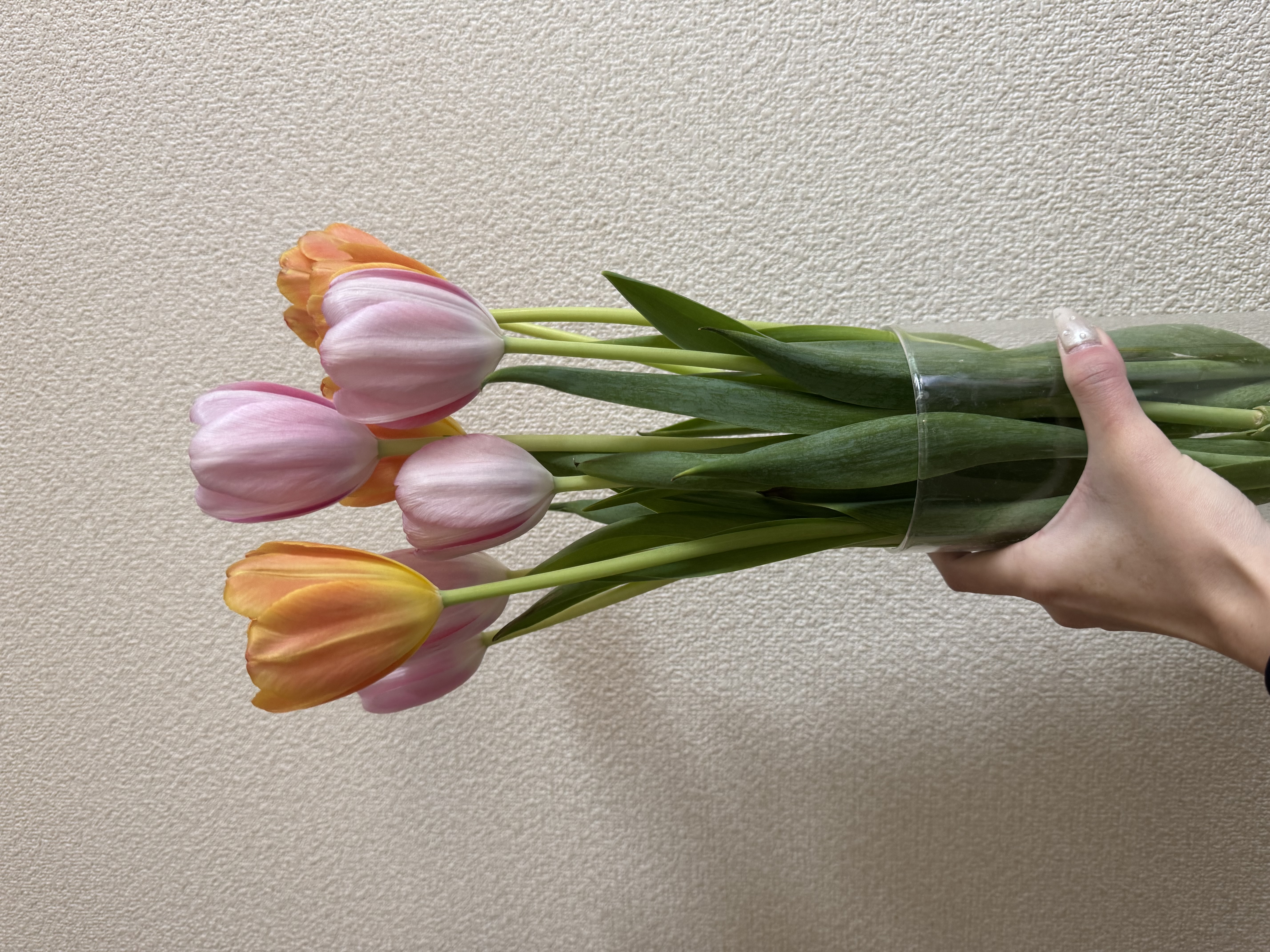 ポカポカだね