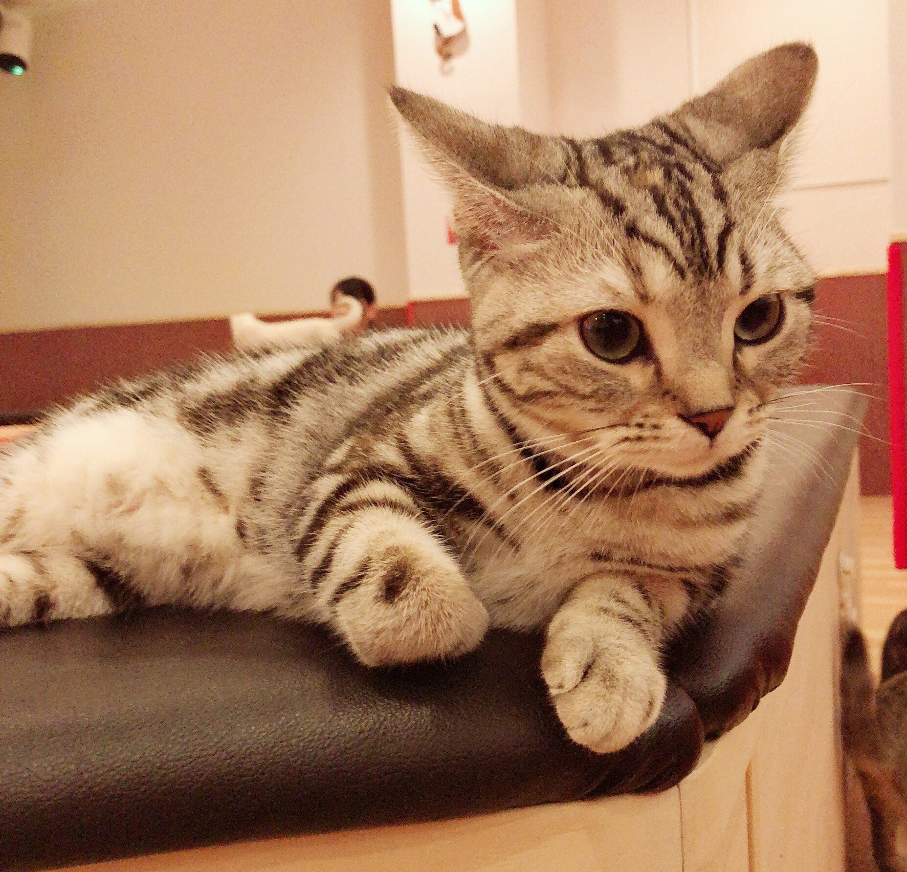 「出勤しました♡」02/26(木) 10:27 | 麗央〜れおの写メ日記