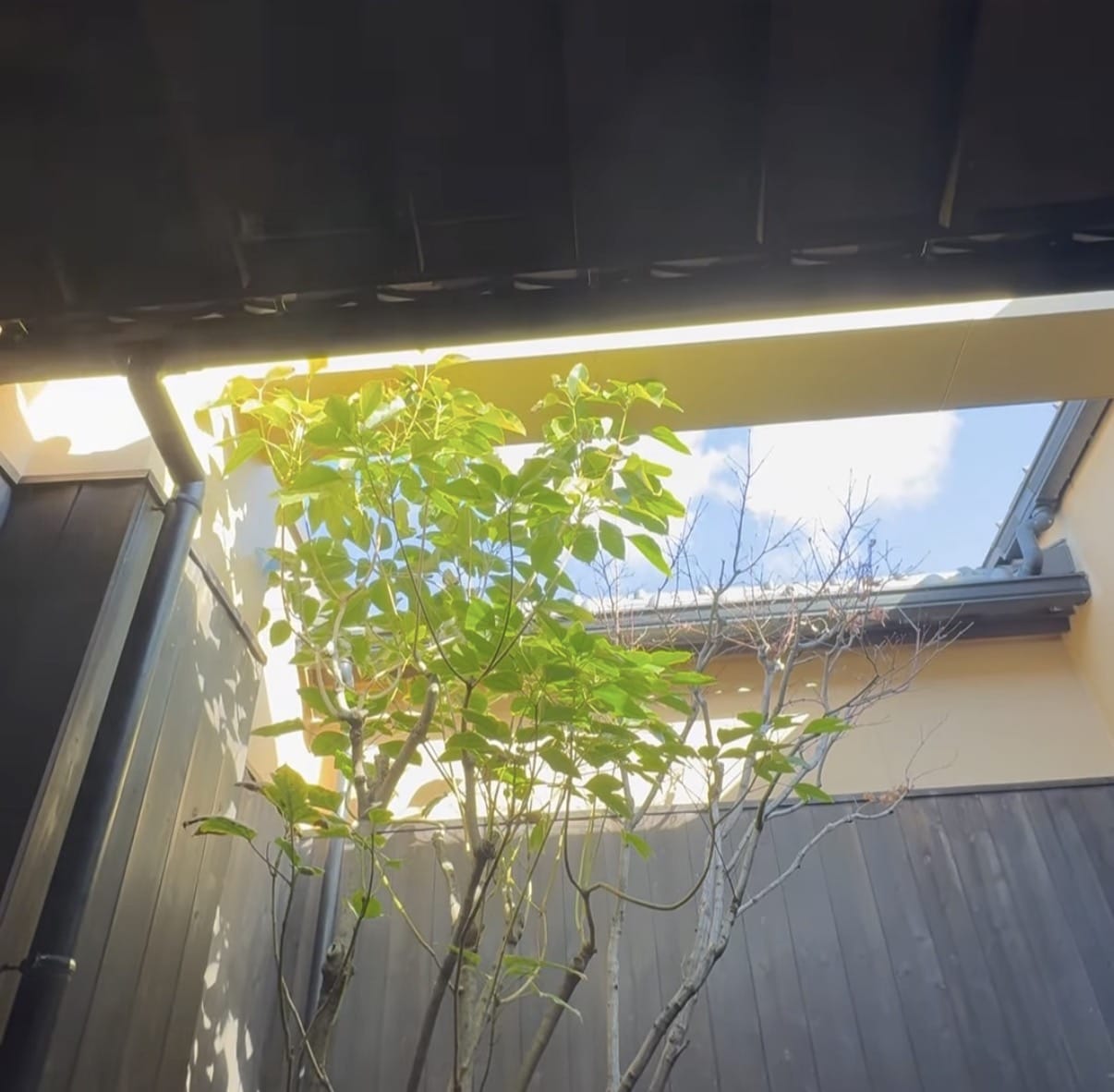 「仕事後の至福の瞬間」03/08(日) 06:35 | 天使　みみの写メ日記