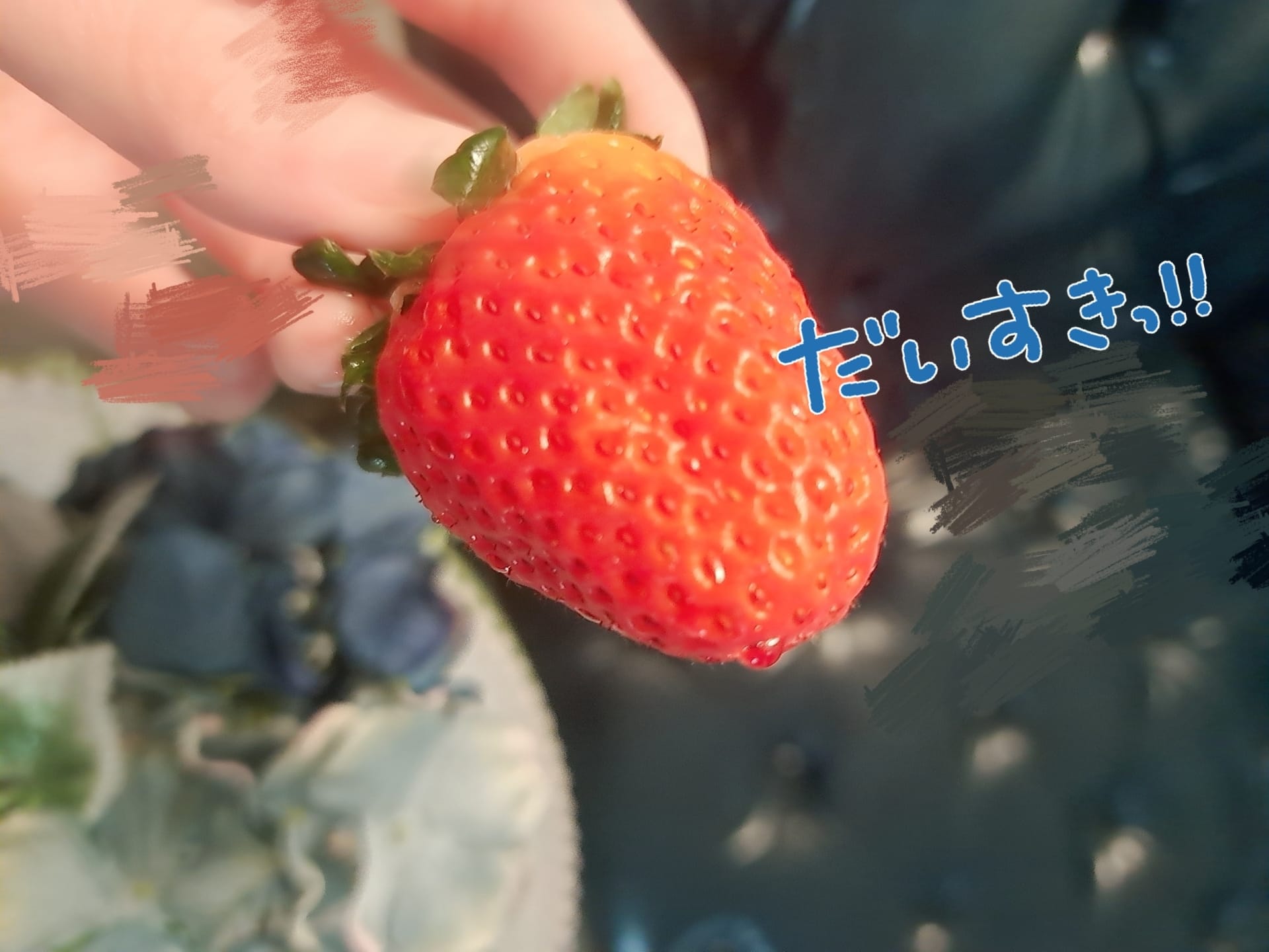 「しあわせ～♪」03/08(日) 15:09 | 白石　なつなの写メ